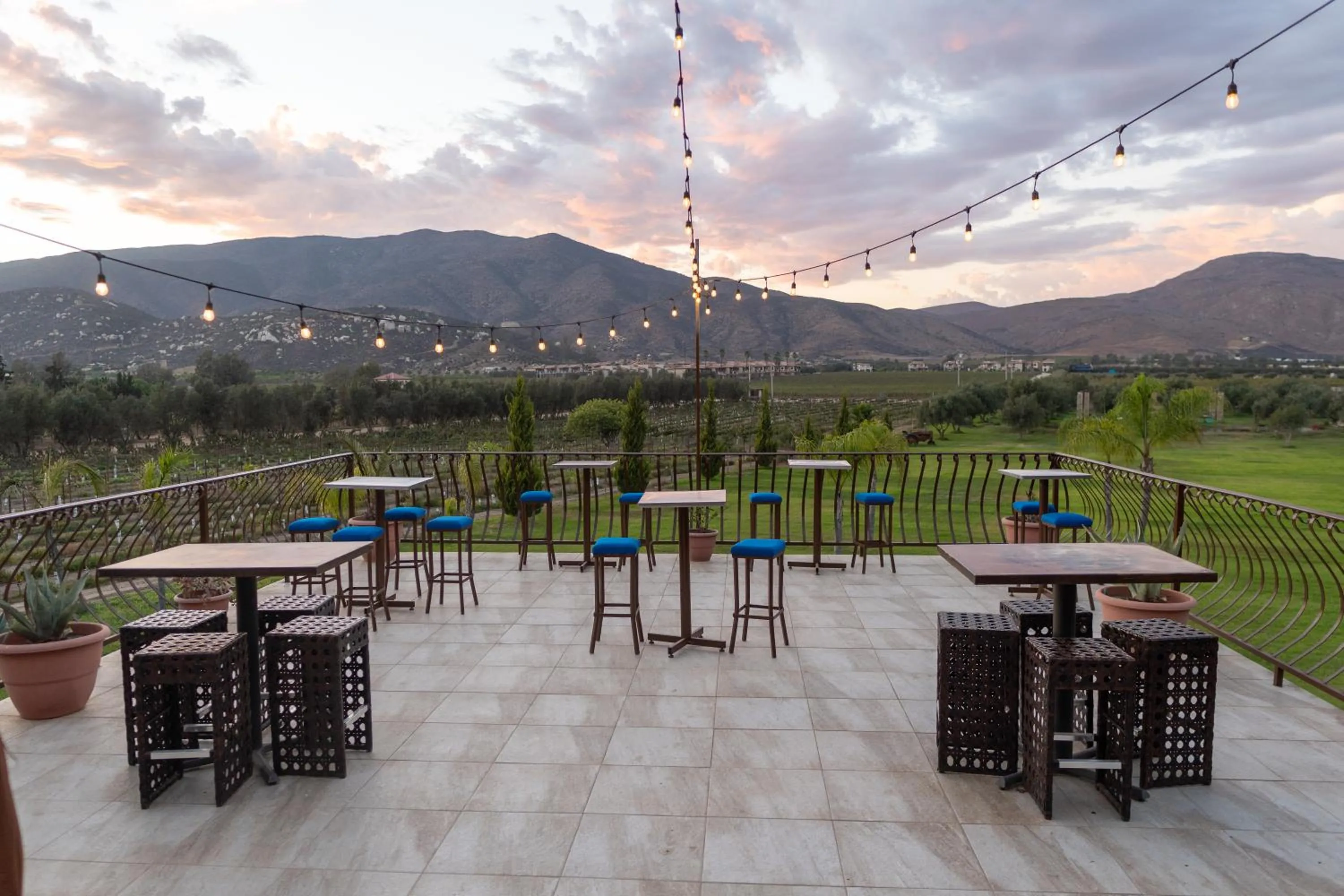 Balcony/Terrace in Sueños Resort