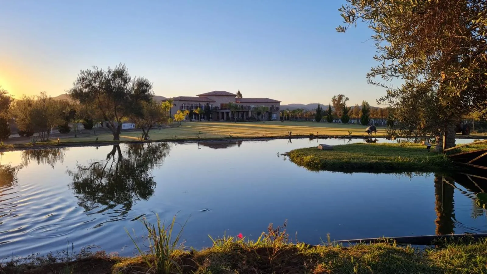 Lake view in Sueños Resort