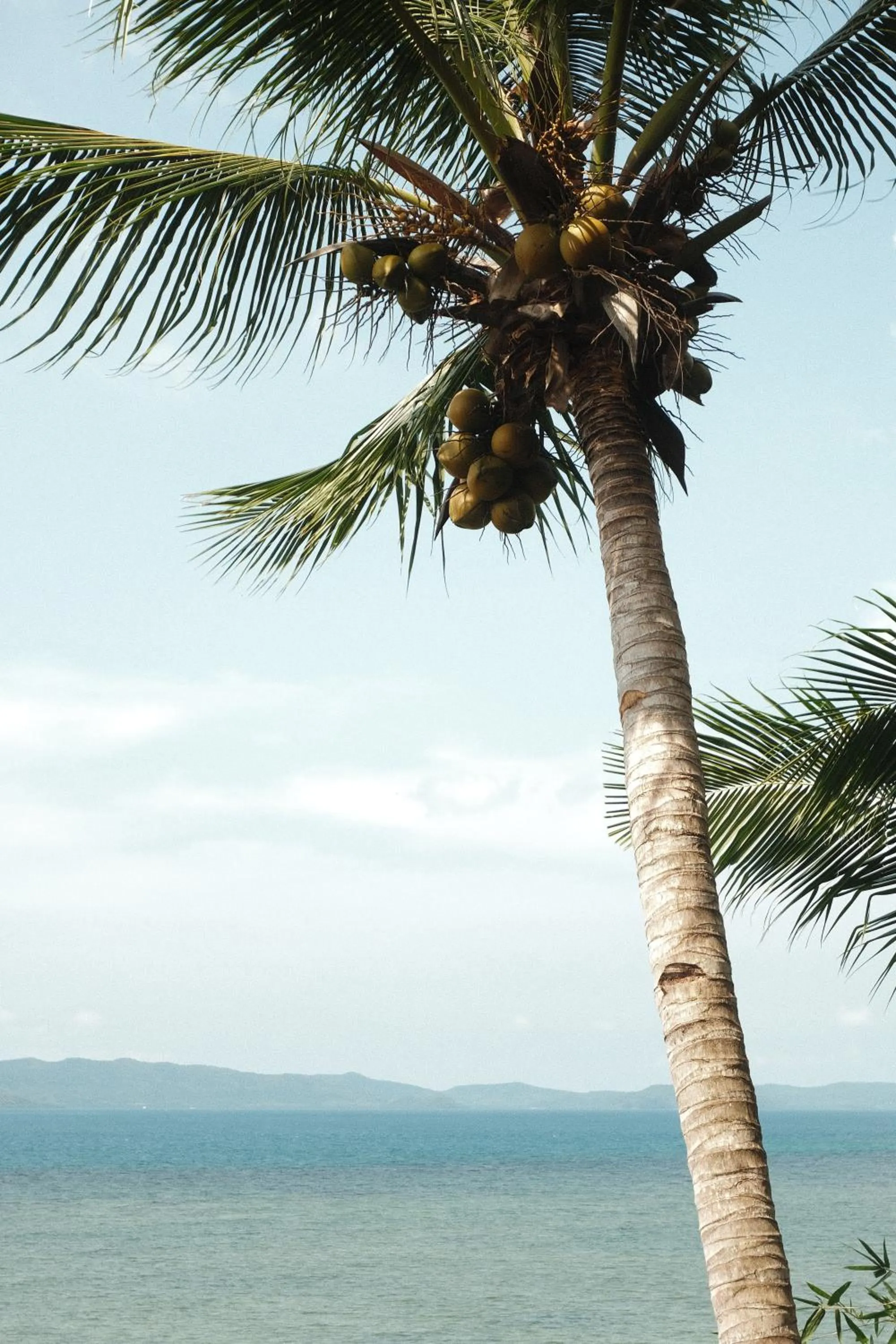 Cocovana Beach Resort