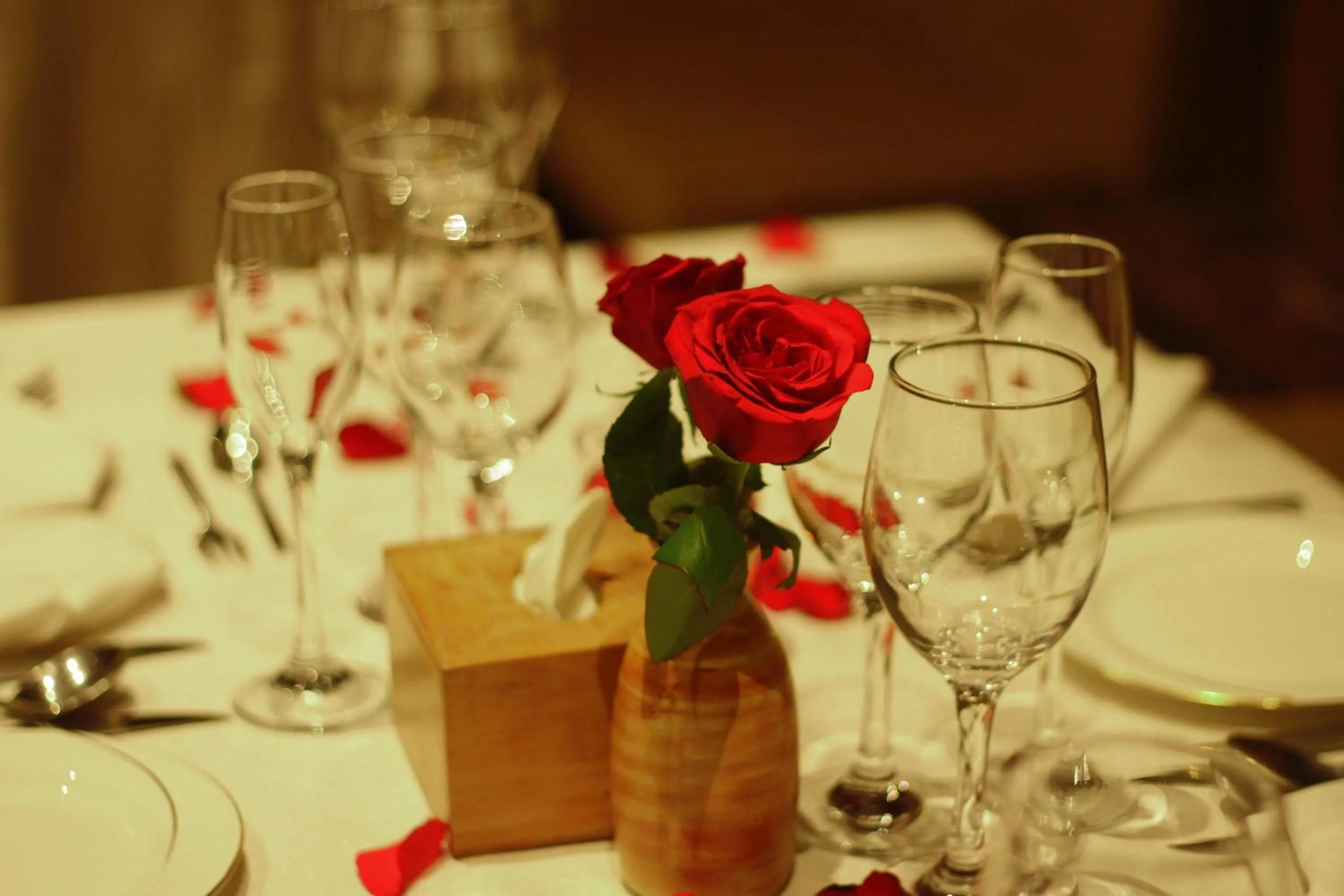 Dinner in Basera Boutique Hotel