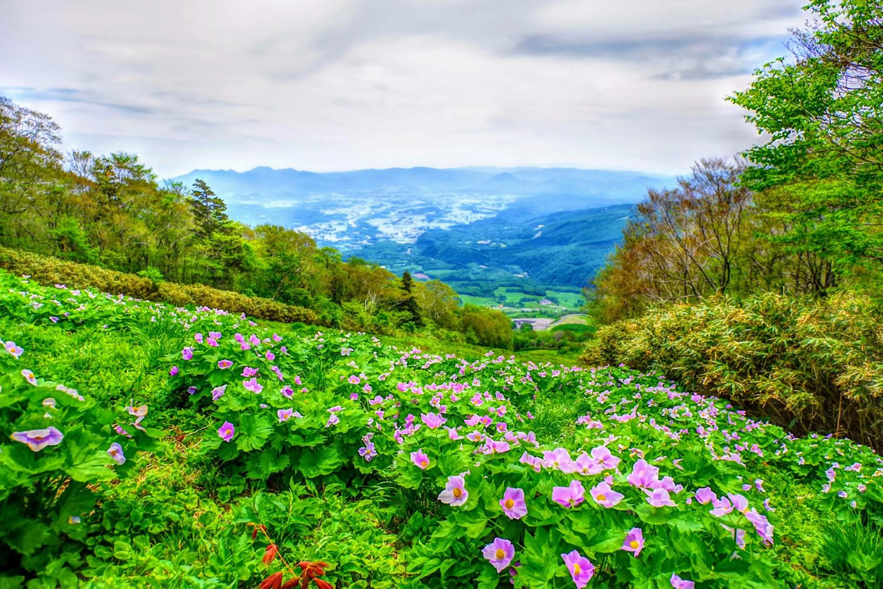 Kyukamura Iwate-Amiharionsen