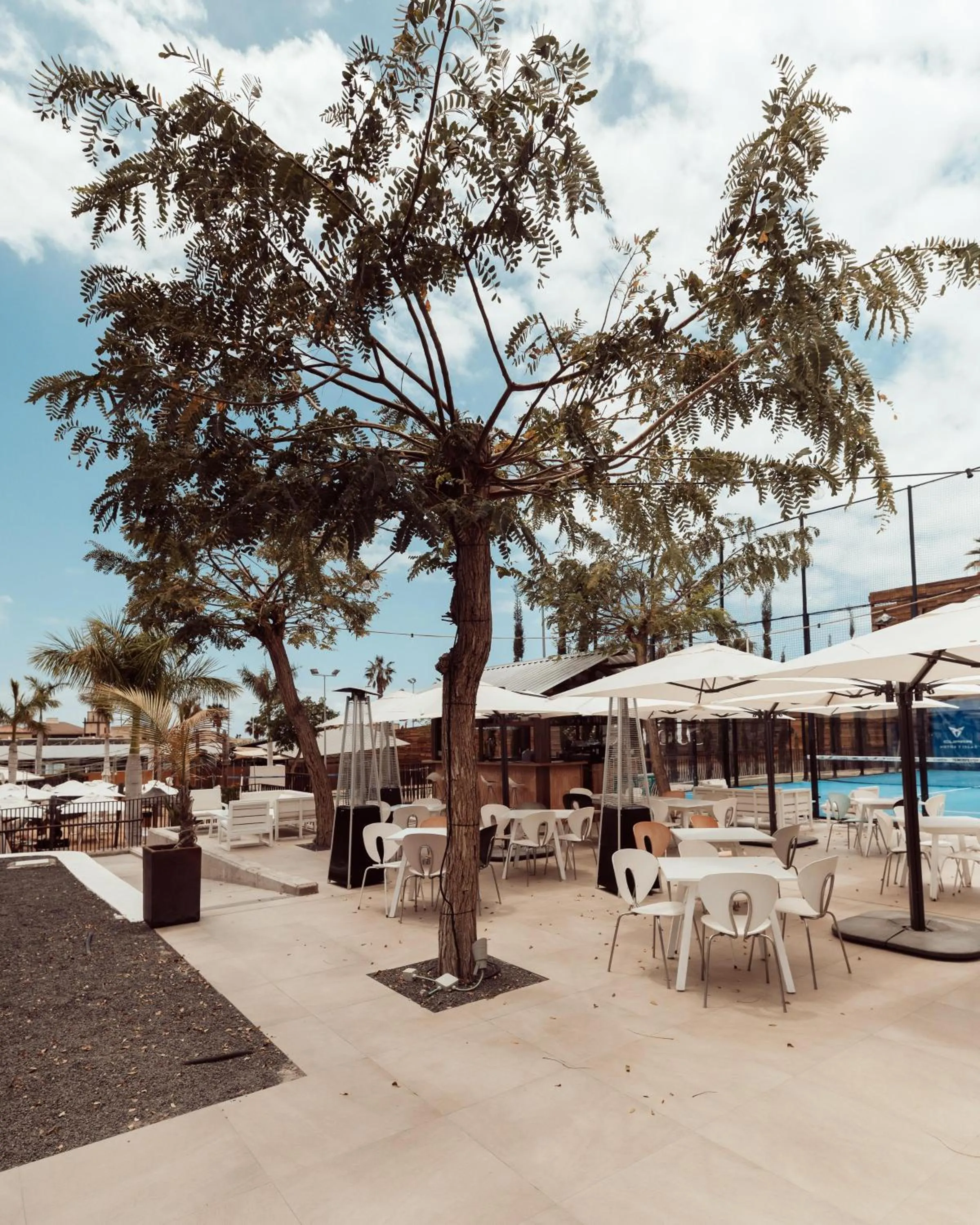 Lounge or bar in Hotel Baobab Suites