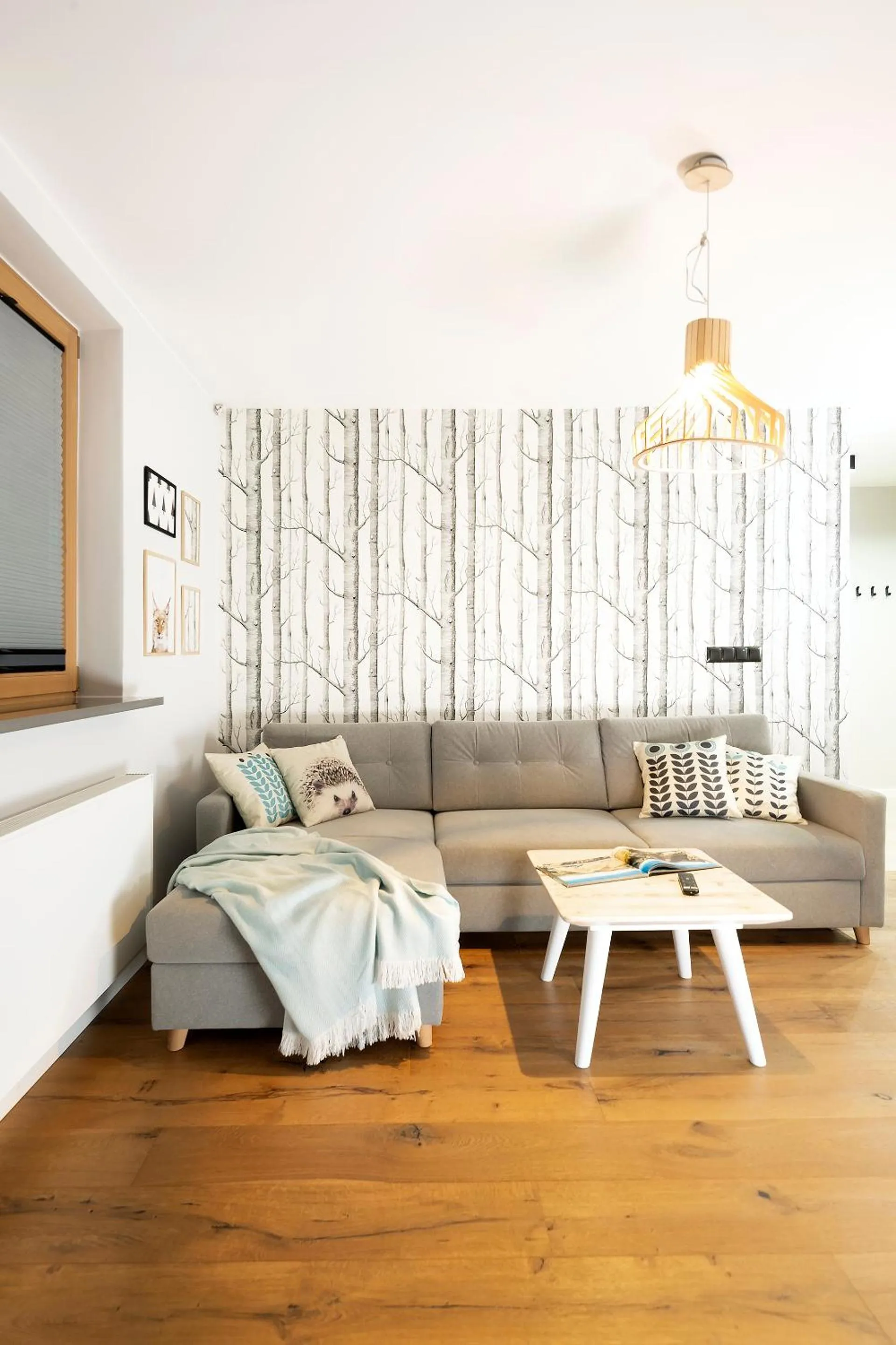 Living room in Green Deer Premium