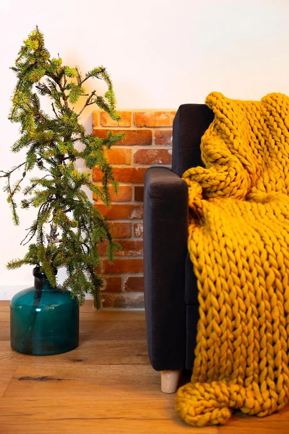 Living room in Green Deer Premium