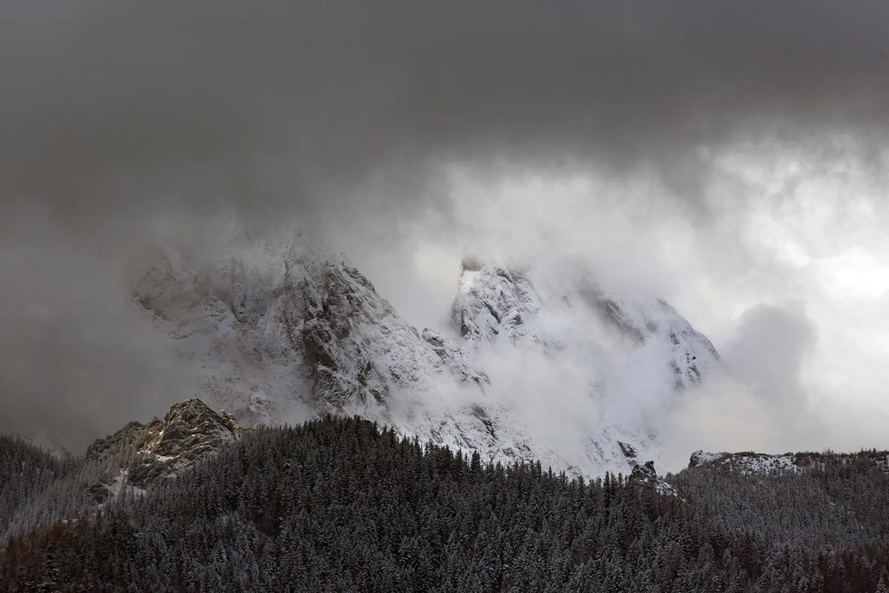 Winter in Green Deer Premium