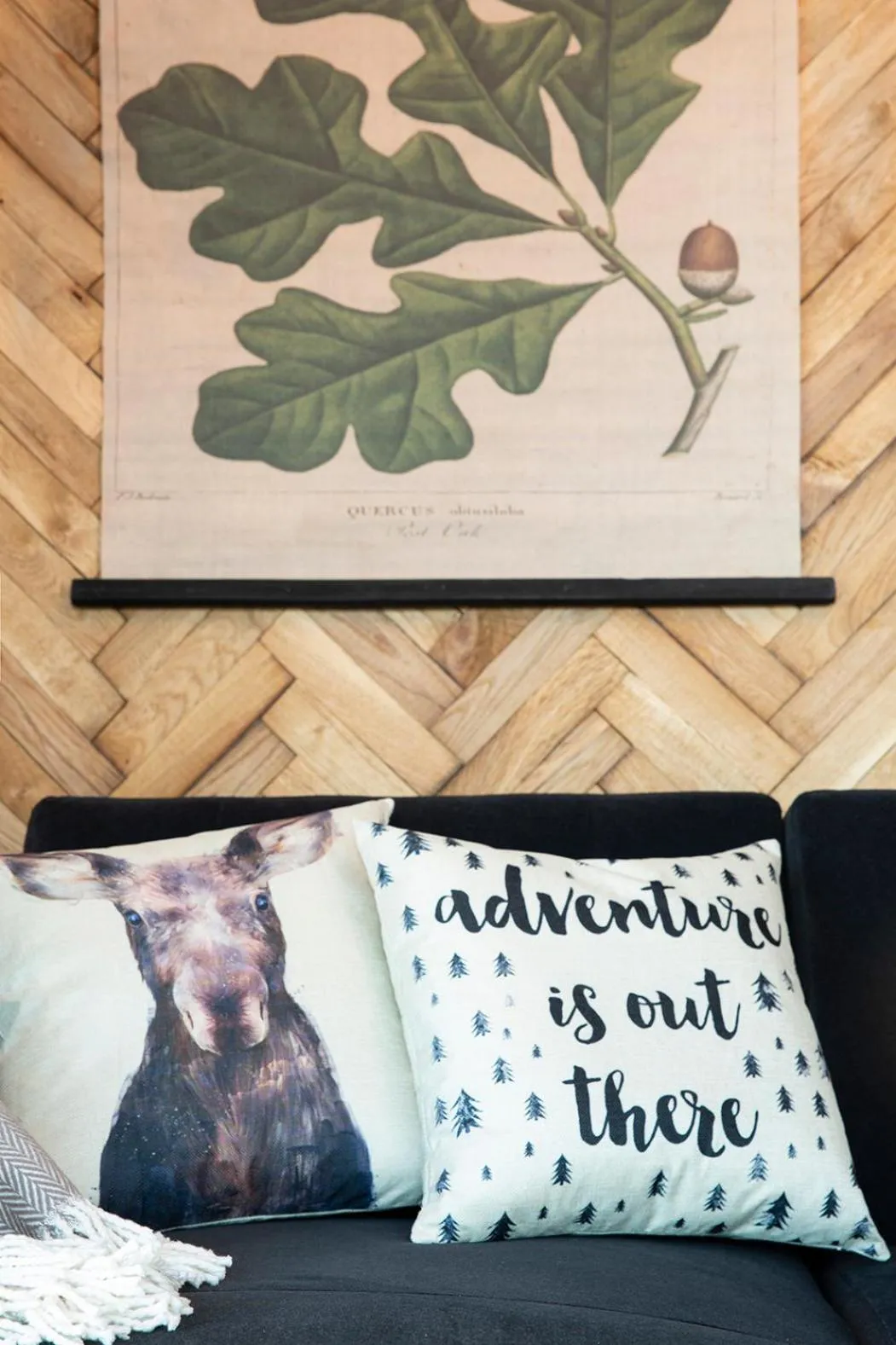 Living room in Green Deer Premium