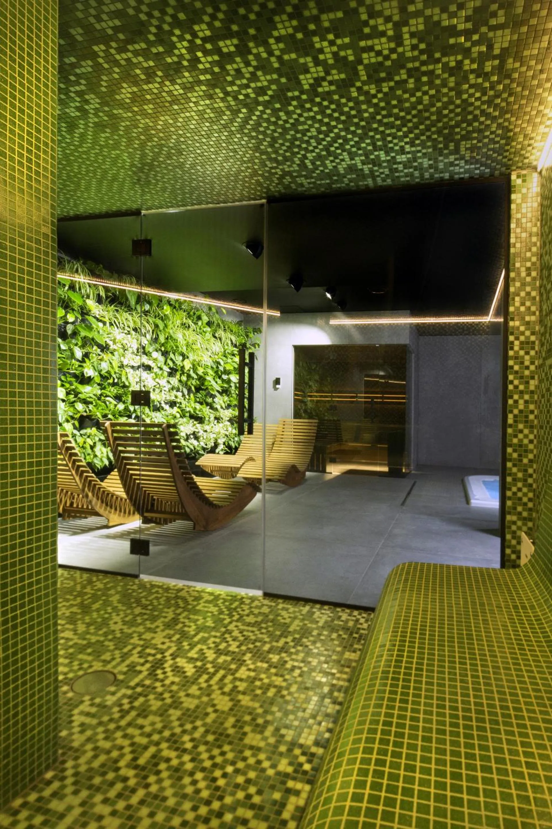 Steam room in Green Deer Premium