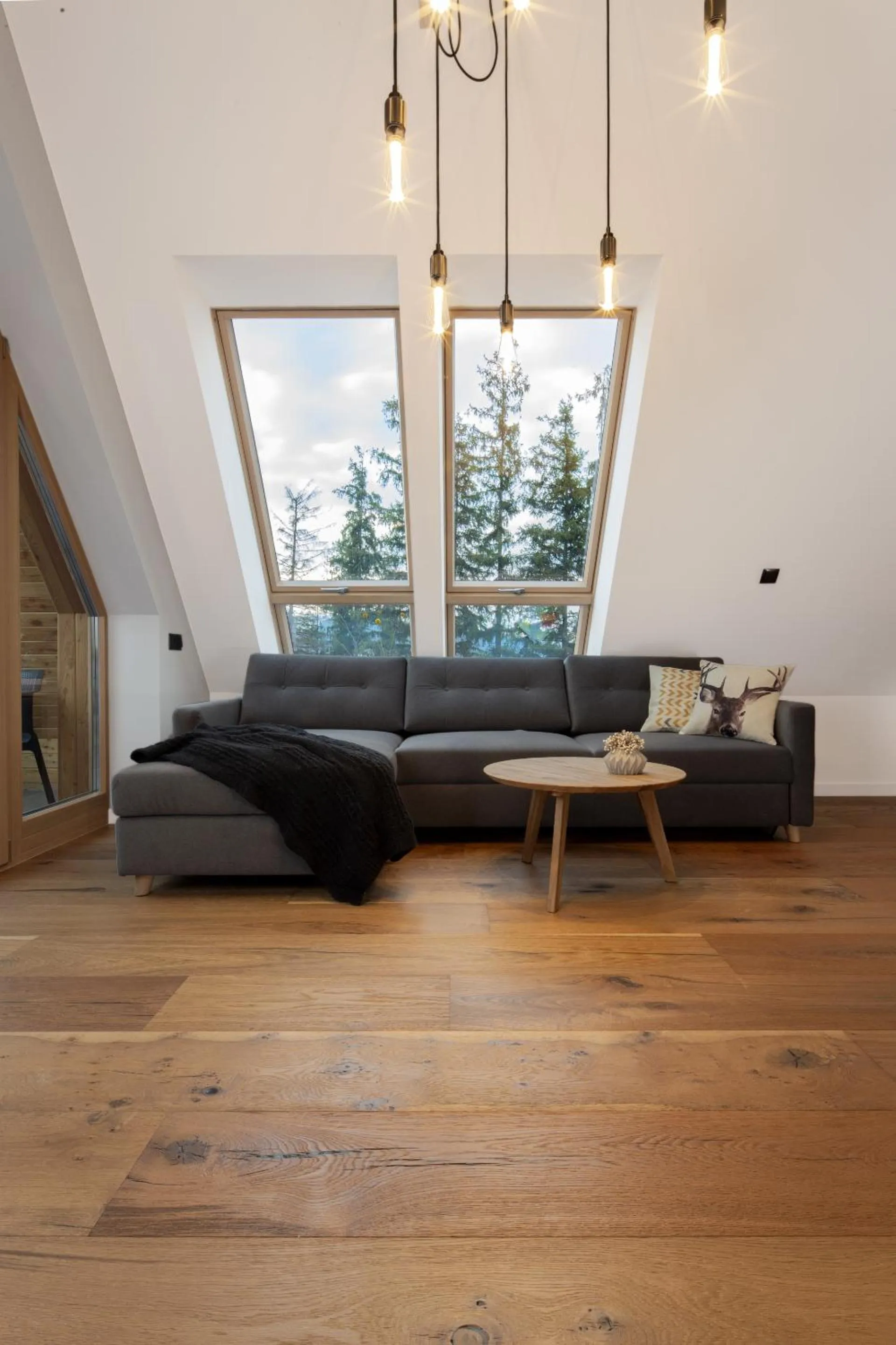 Living room in Green Deer Premium