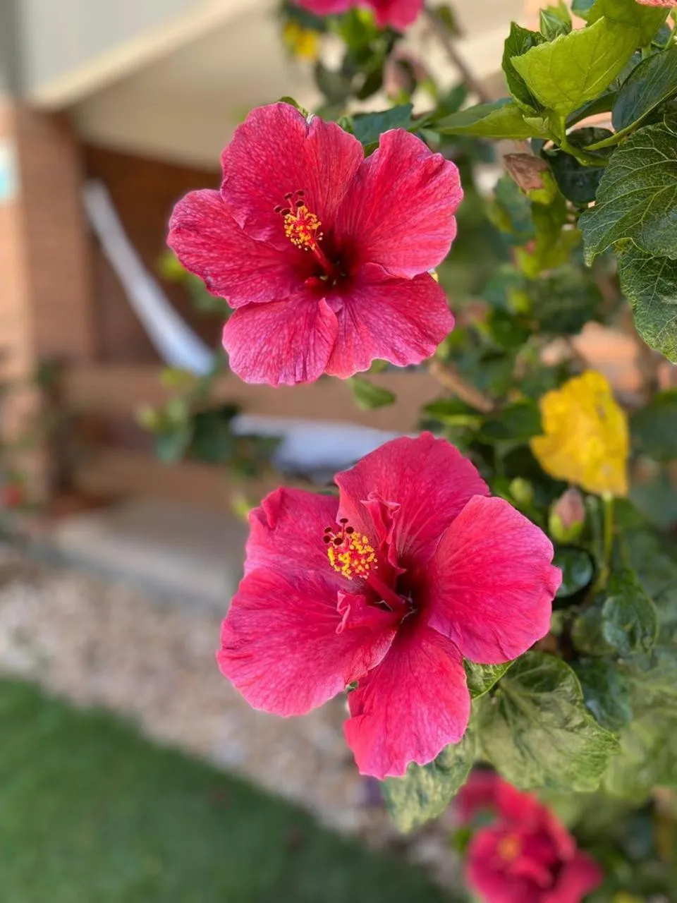 Pousada Ponta do Lobo