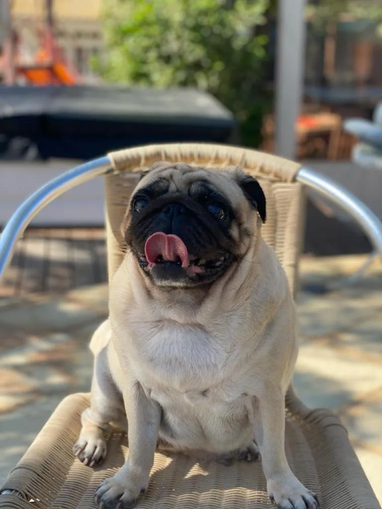 Pousada Ponta do Lobo