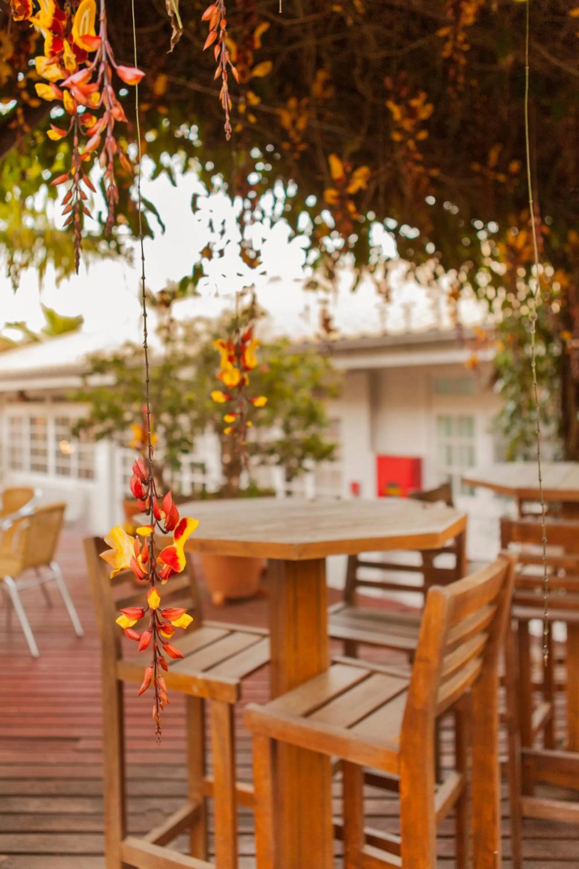 Pousada Ponta do Lobo