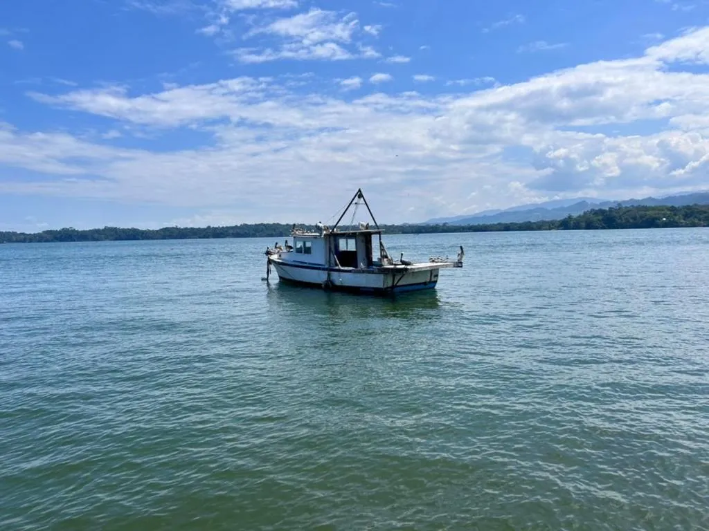 Natural landscape in Hotel El Delfin