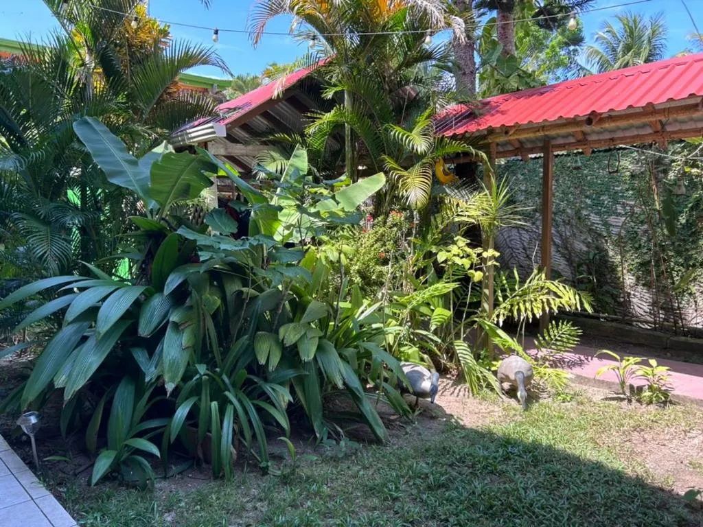Garden view in Hotel El Delfin