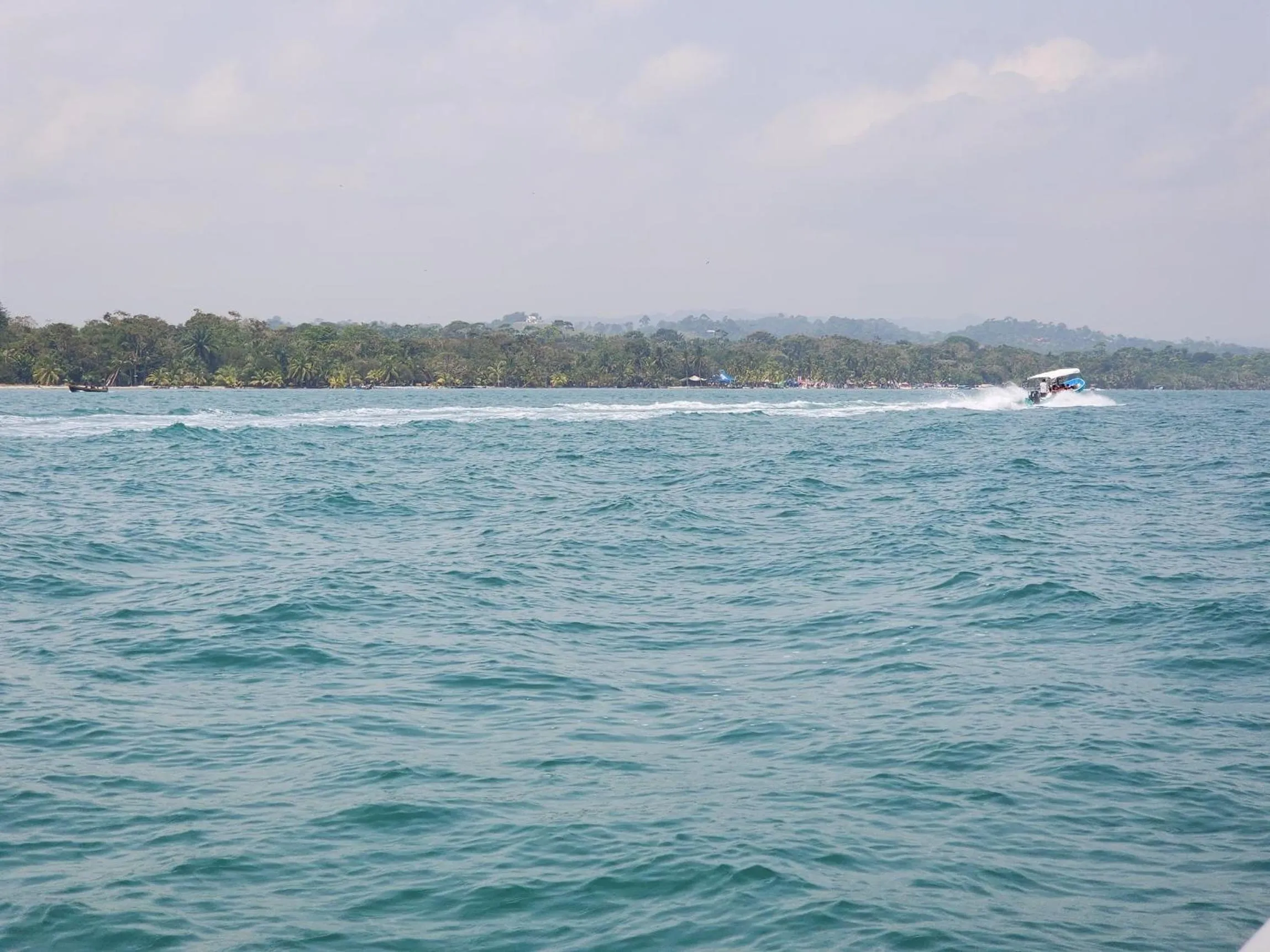 Natural landscape in Hotel El Delfin