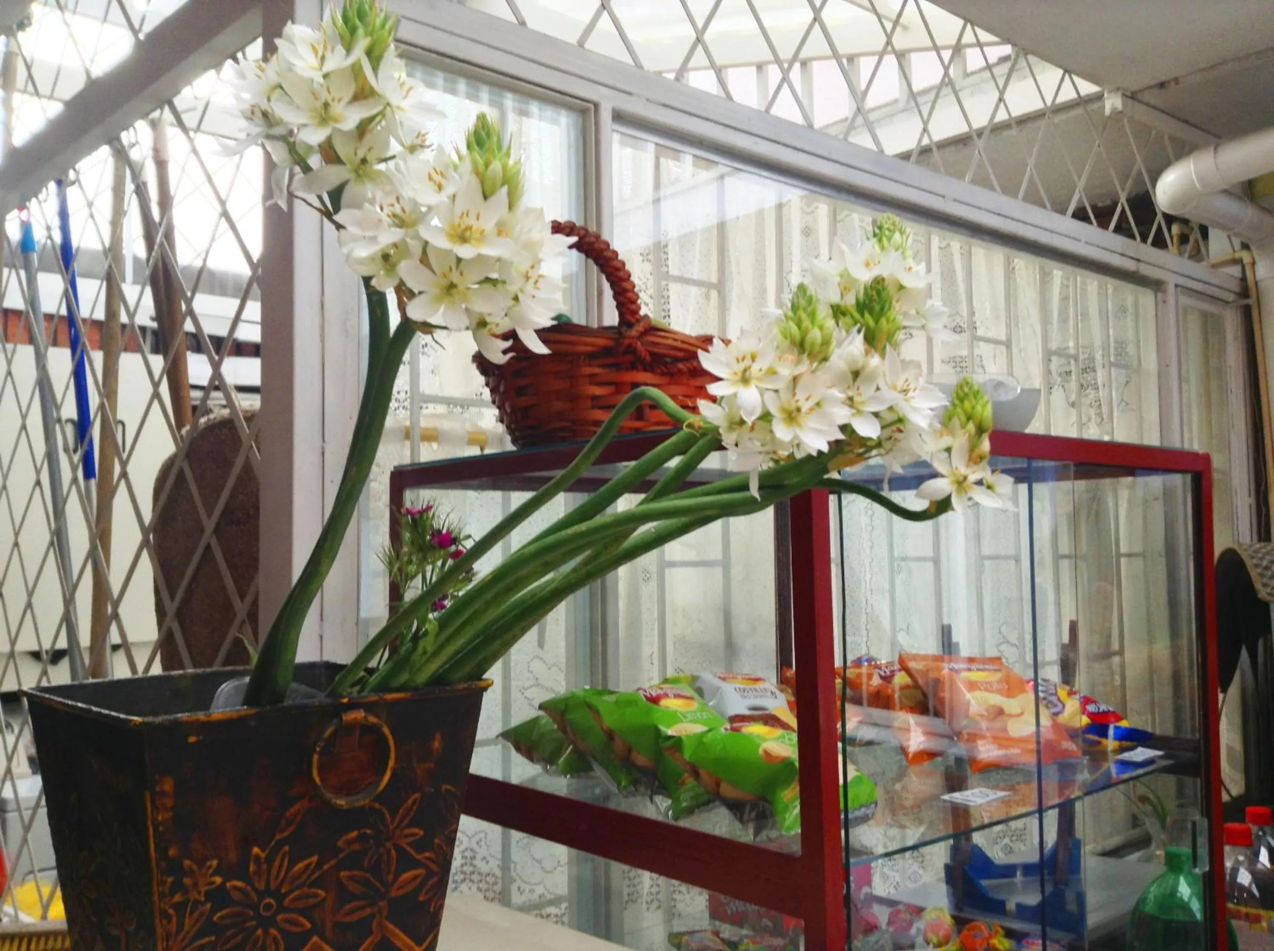 Restaurant/places to eat in Casa Posada Amelia