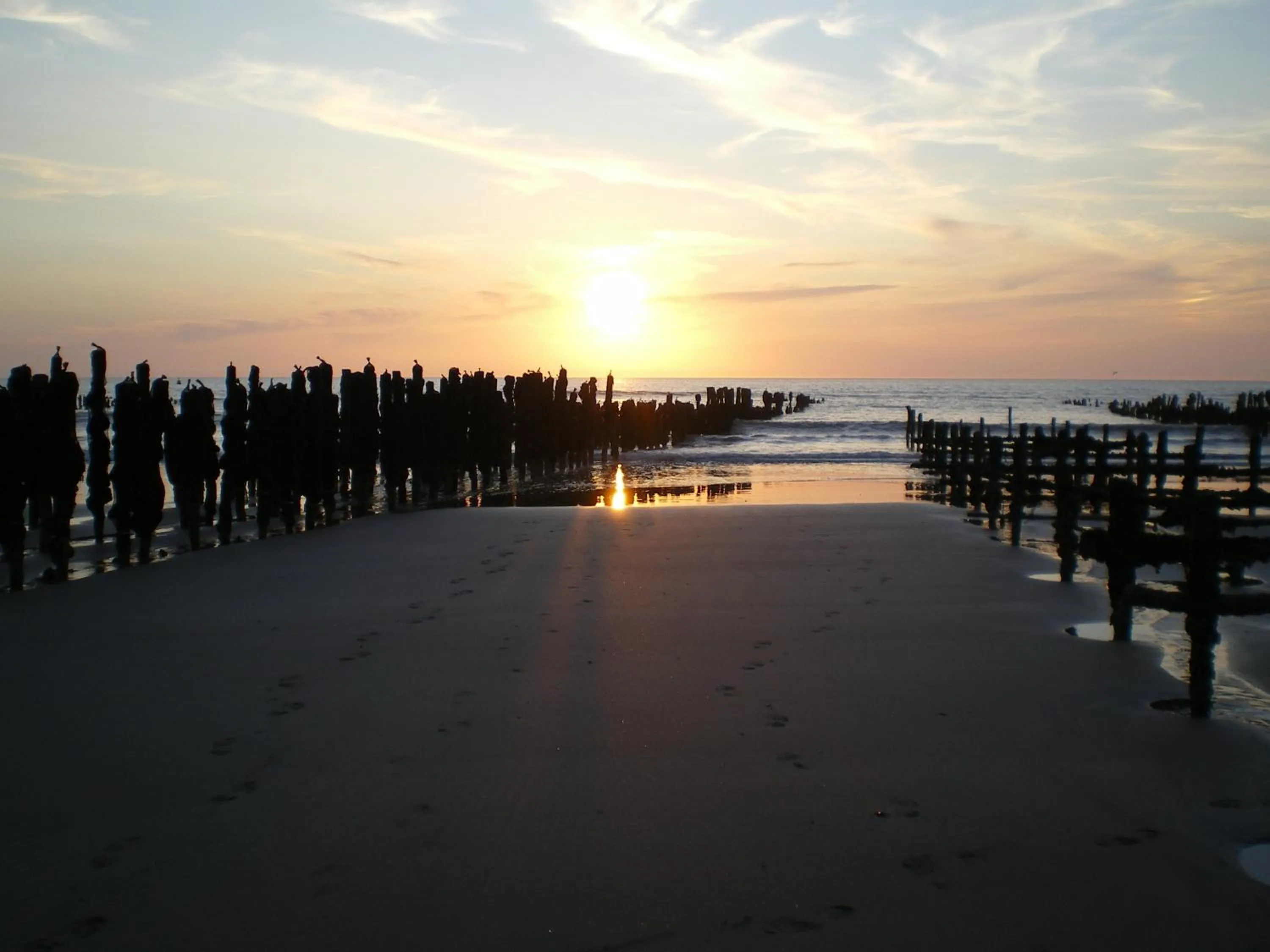 Natural landscape in Logis Auberge De La Dune - Hôtel & Restaurant