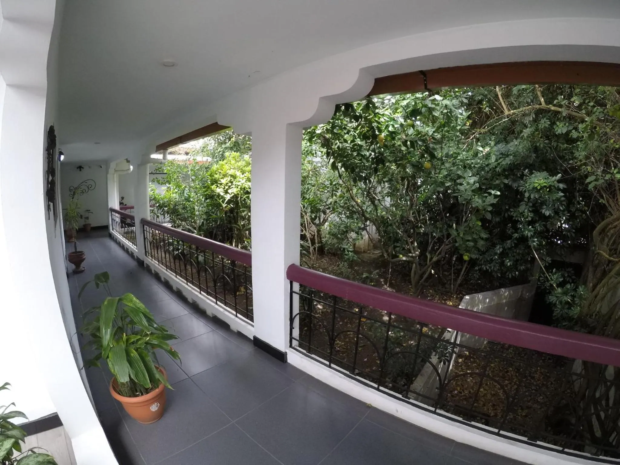 Garden view in La Bergerac Boutique Hotel