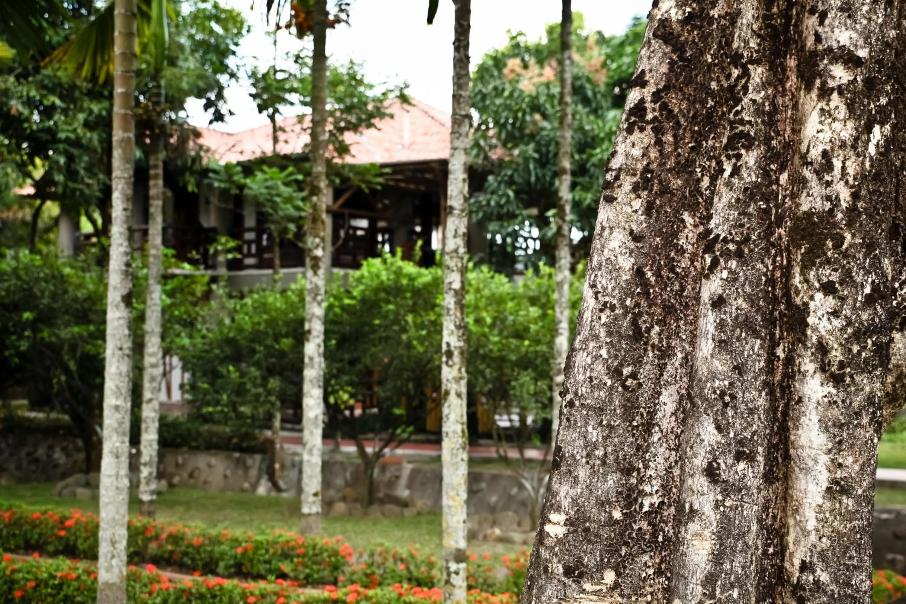 Decorative detail in Hotel Boutique Villas de San Sebastián