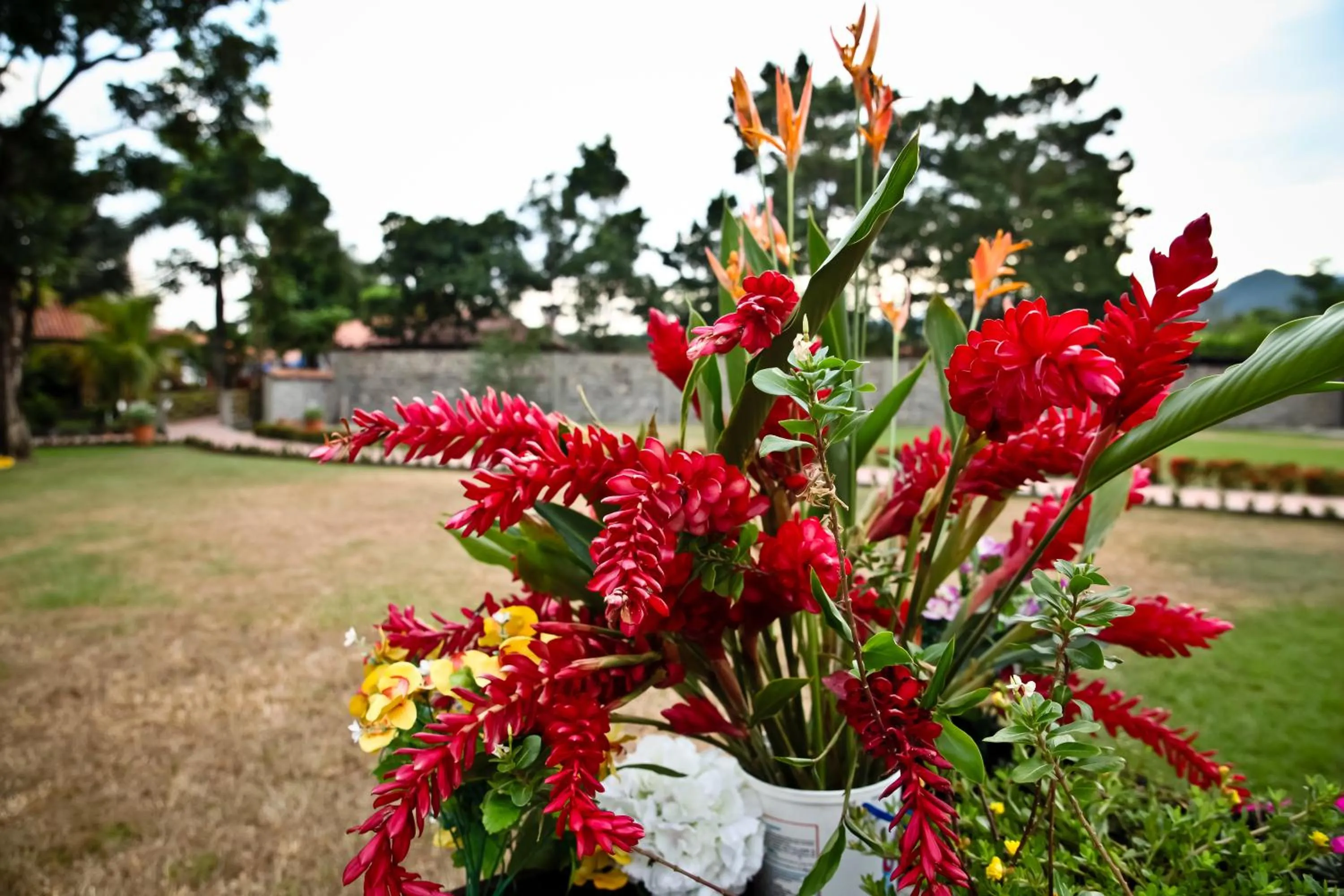 Natural landscape in Hotel Boutique Villas de San Sebastián