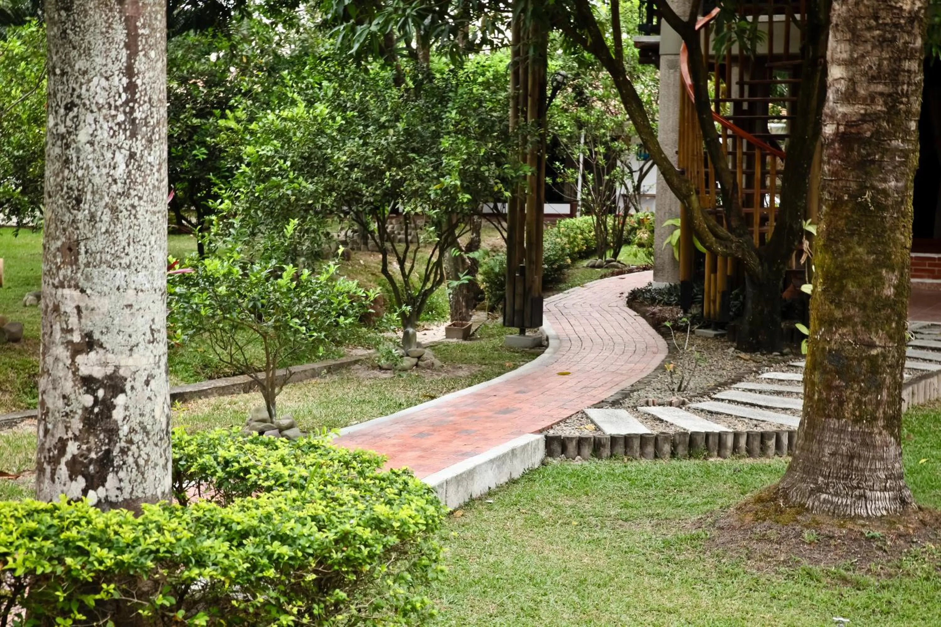 Area and facilities in Hotel Boutique Villas de San Sebastián