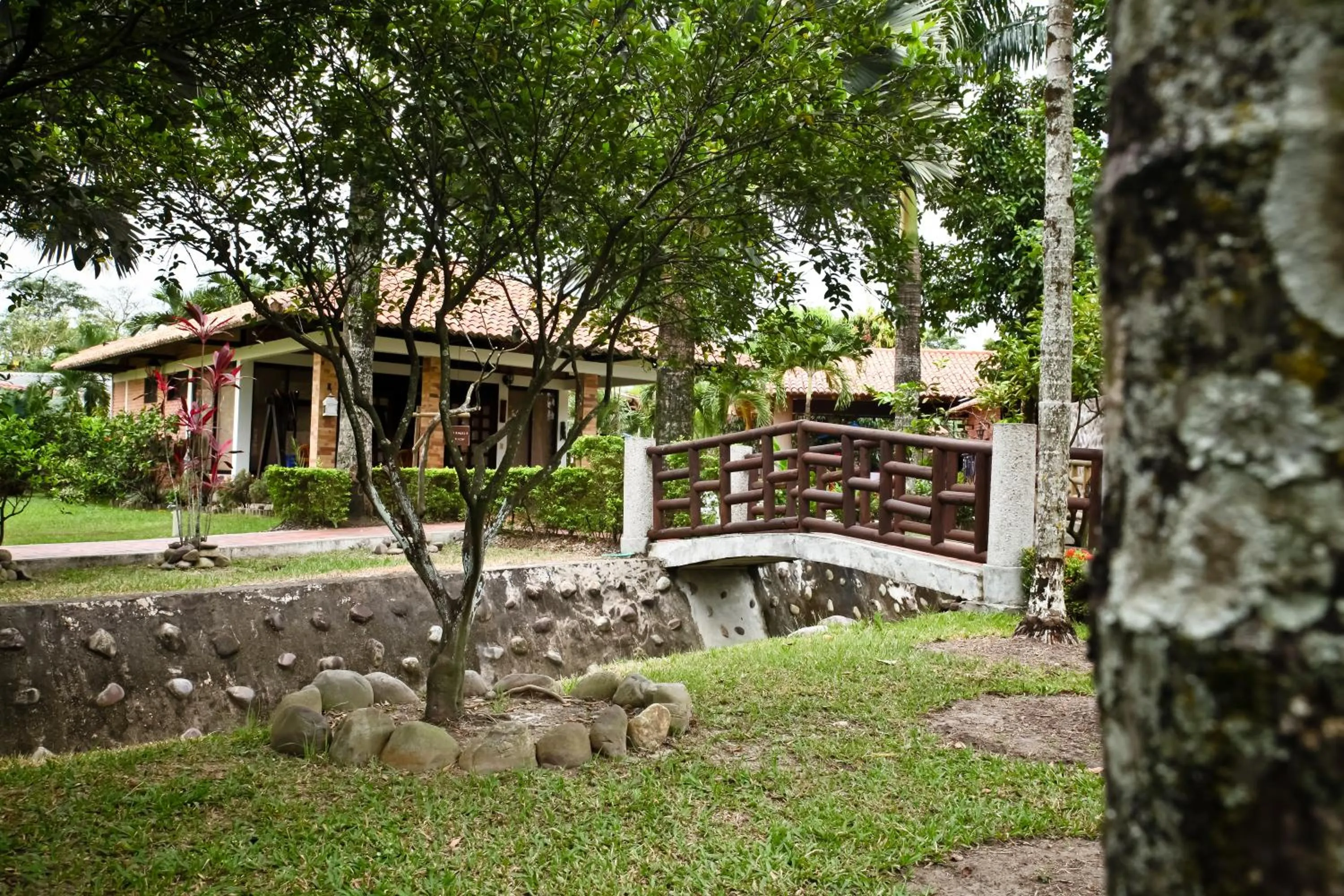 Garden view in Hotel Boutique Villas de San Sebastián