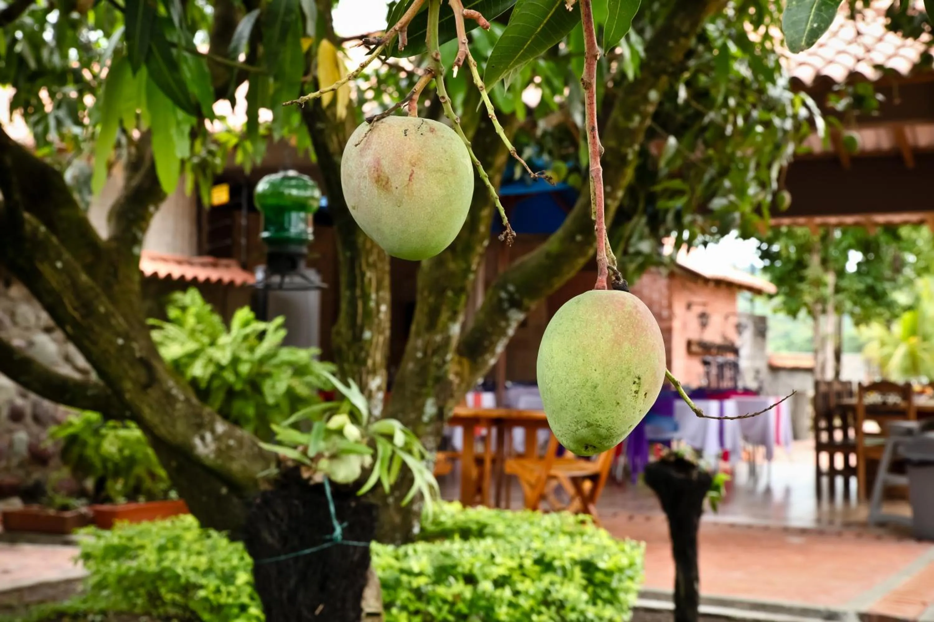 Day in Hotel Boutique Villas de San Sebastián