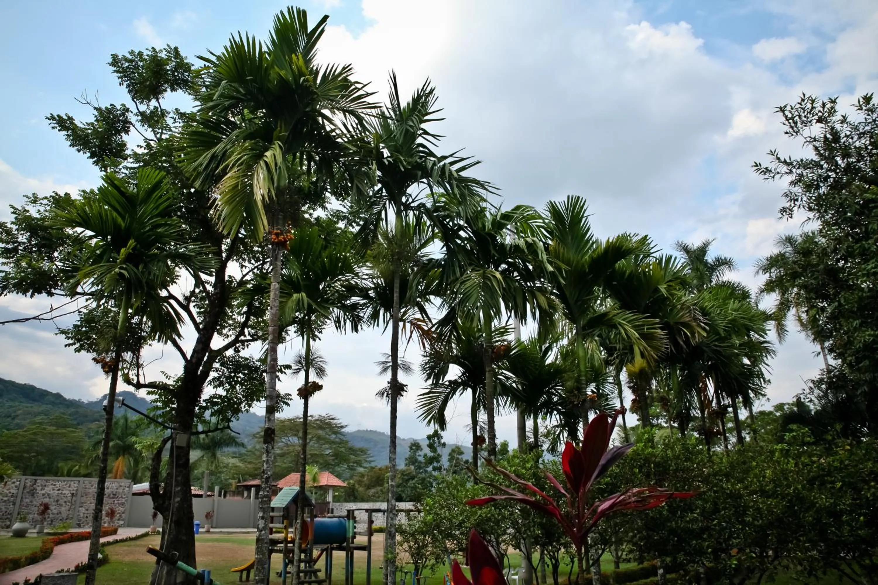 Garden view in Hotel Boutique Villas de San Sebastián