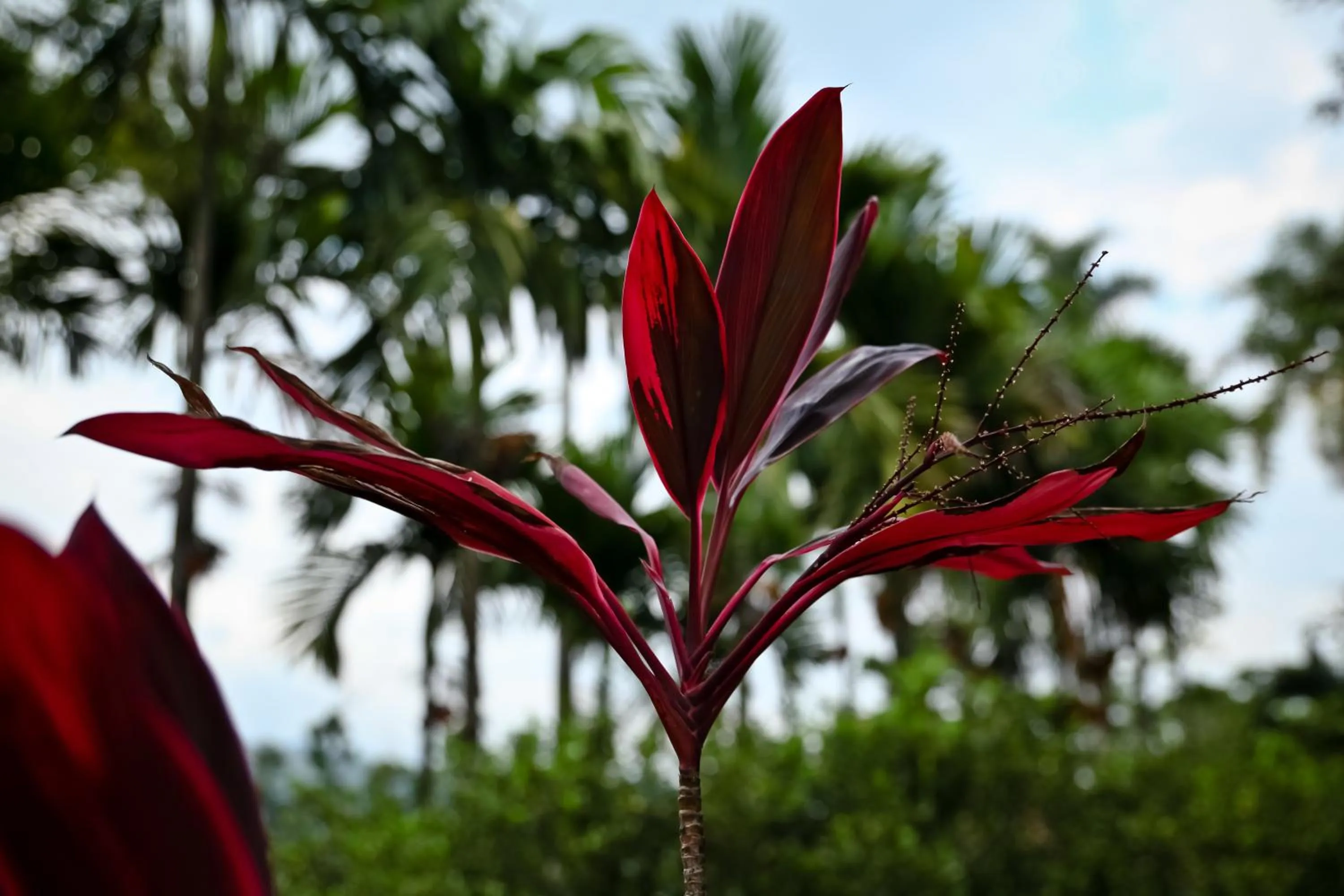 Other in Hotel Boutique Villas de San Sebastián