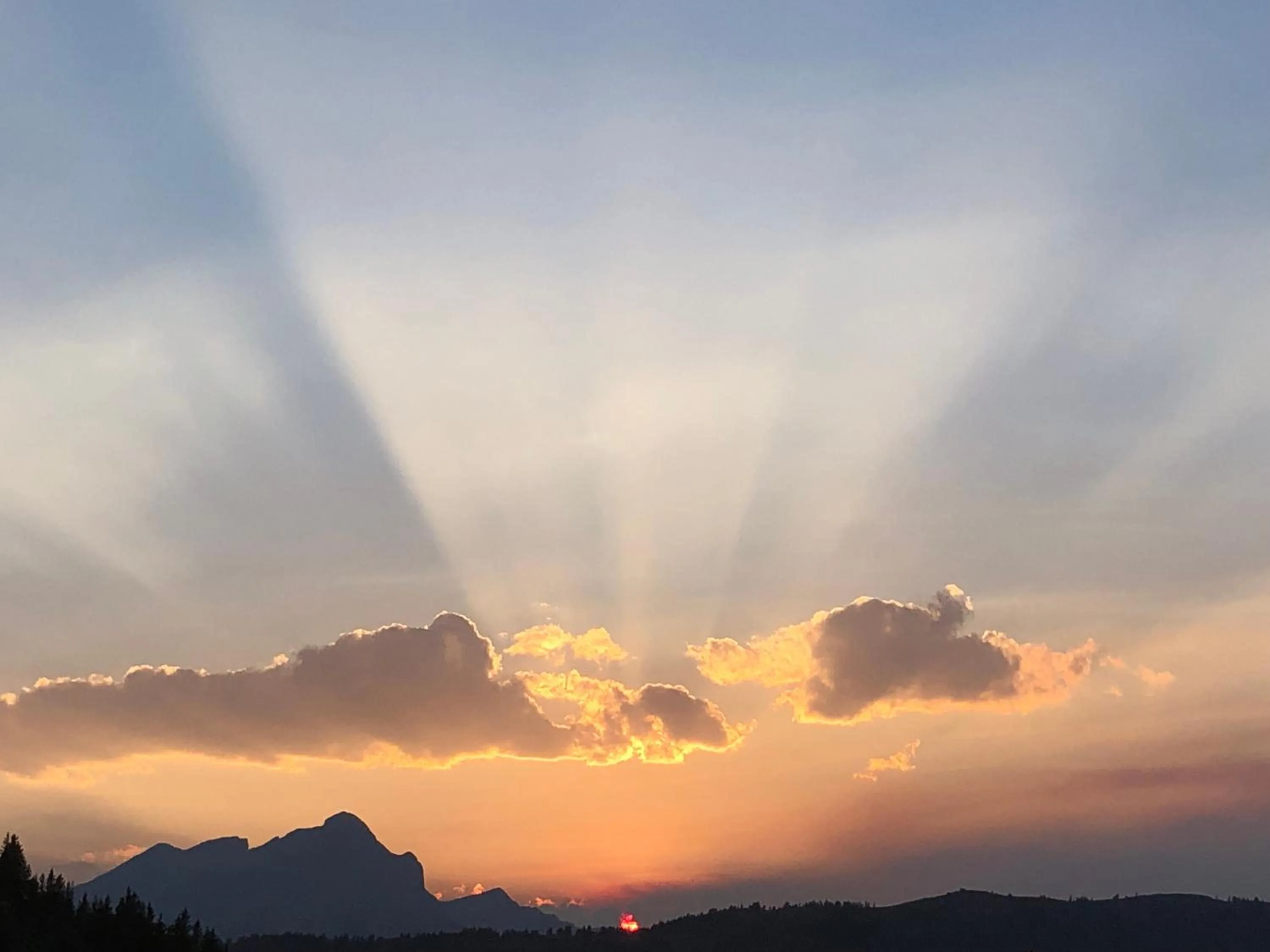 Mountain view in York Creek Bed & Breakfast