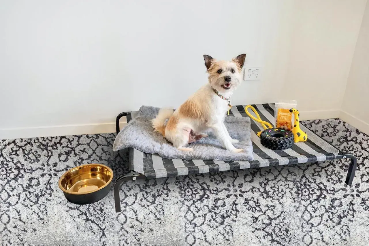 Studio - Pet Friendly with free secure parking in Roomie Apartment Hotel Studio - Pet Friendly with free secure parking in Roomie Apartment Hotel