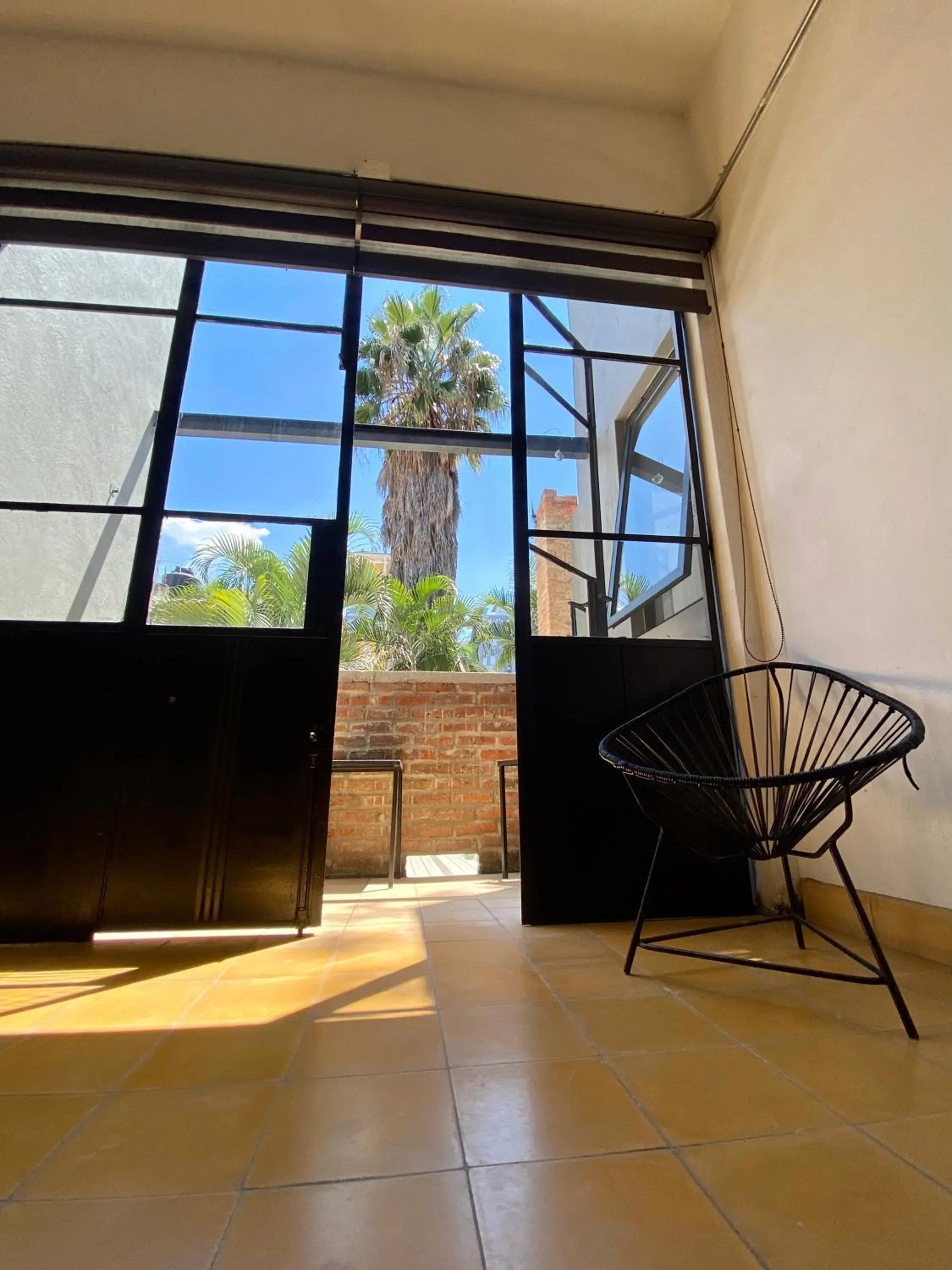 Balcony/Terrace in Hostel Hospedarte Chapultepec