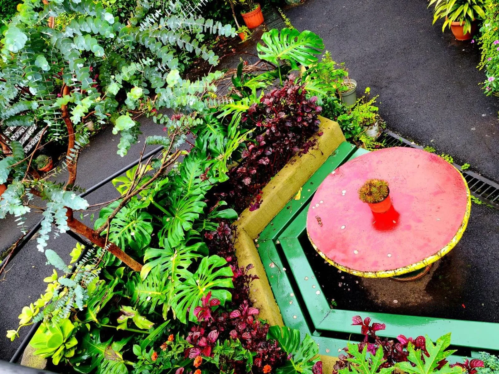 Garden in Cabinas El Pueblo B&B Monteverde
