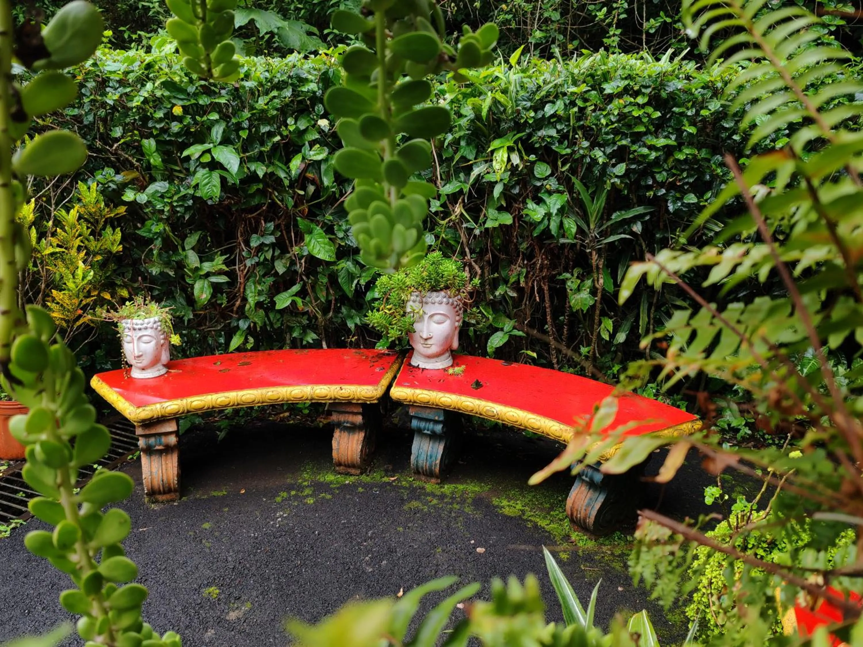 Garden in Cabinas El Pueblo B&B Monteverde