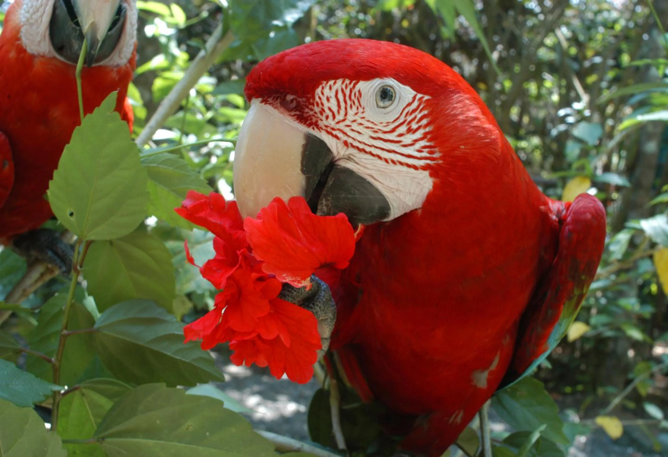 Other in Hotel Jinetes de Osa