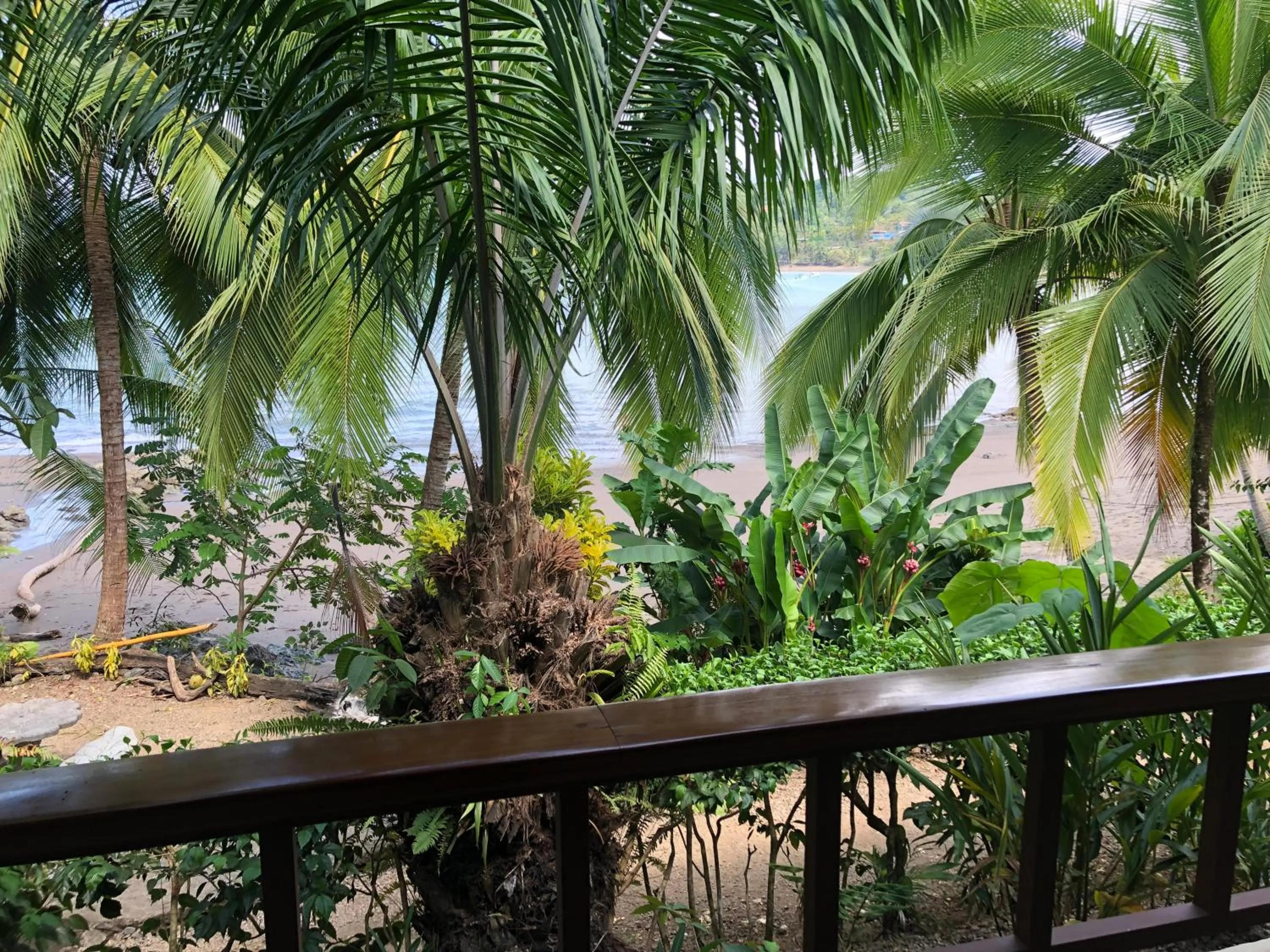 Hotel Jinetes de Osa