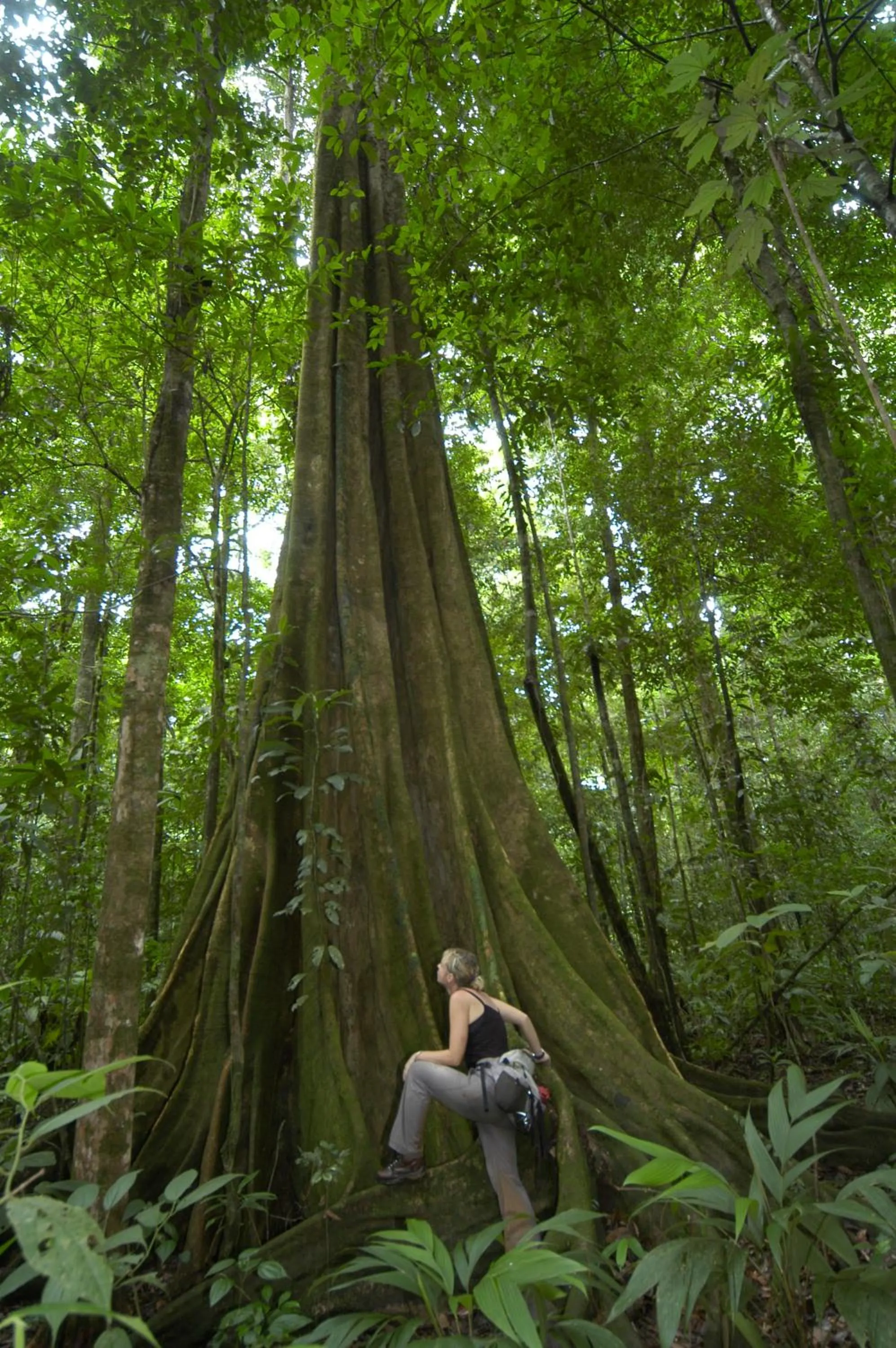 Hiking in Hotel Jinetes de Osa