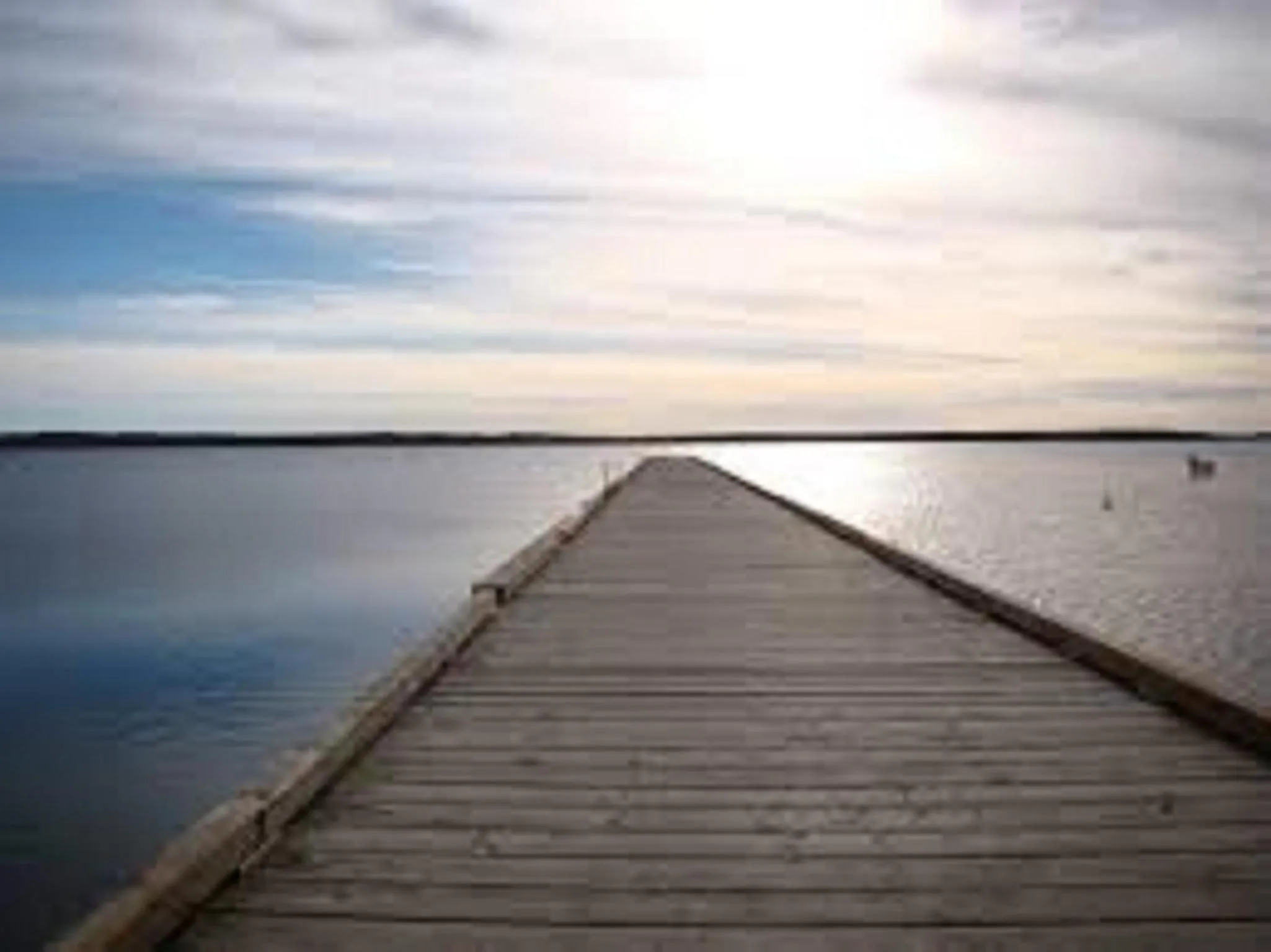 Natural landscape in Shoreside Inn & Suites