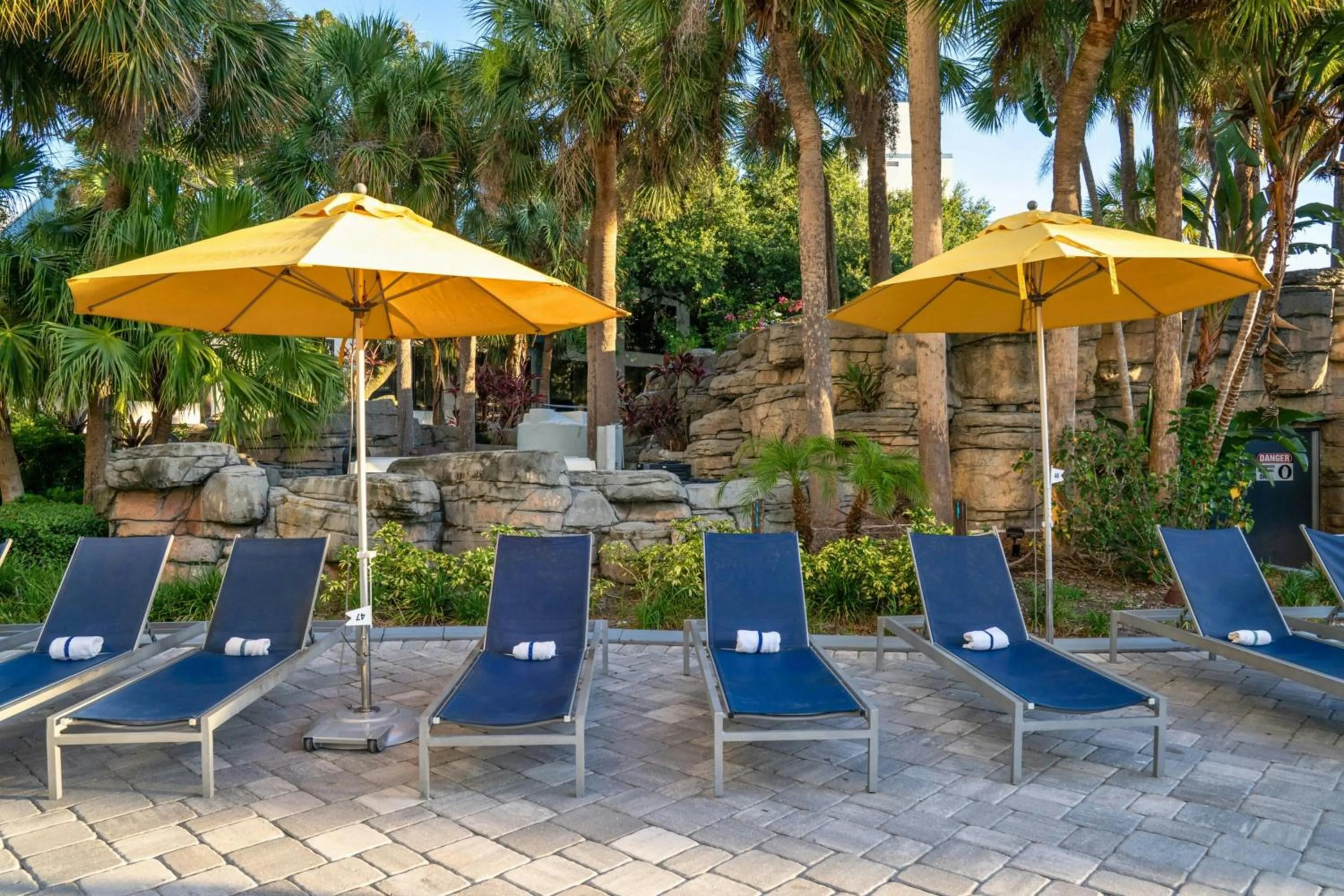 Swimming pool in Delta Hotels by Marriott Orlando Celebration