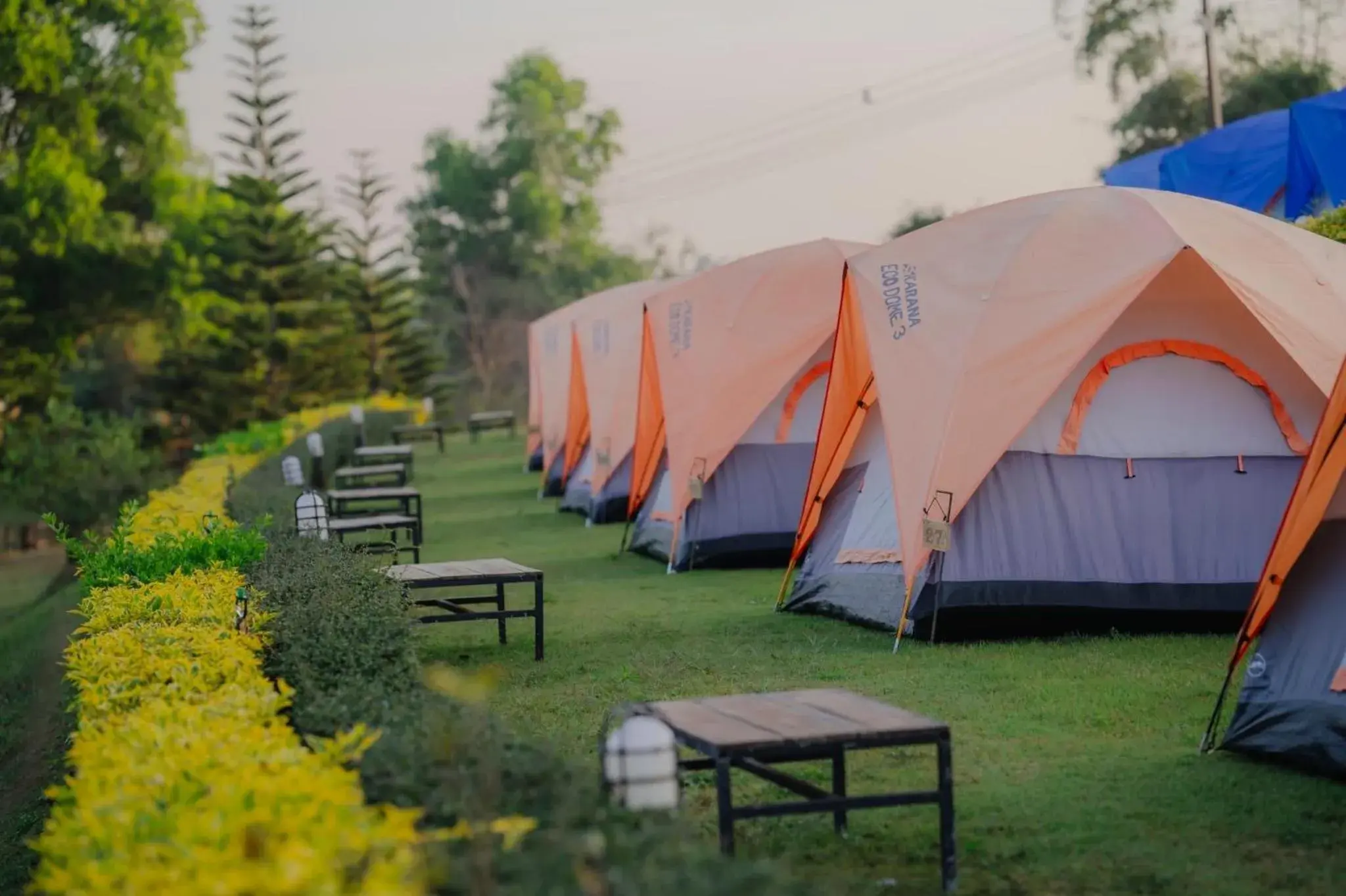 Tent in Arabica Khaokho Tent in Arabica Khaokho