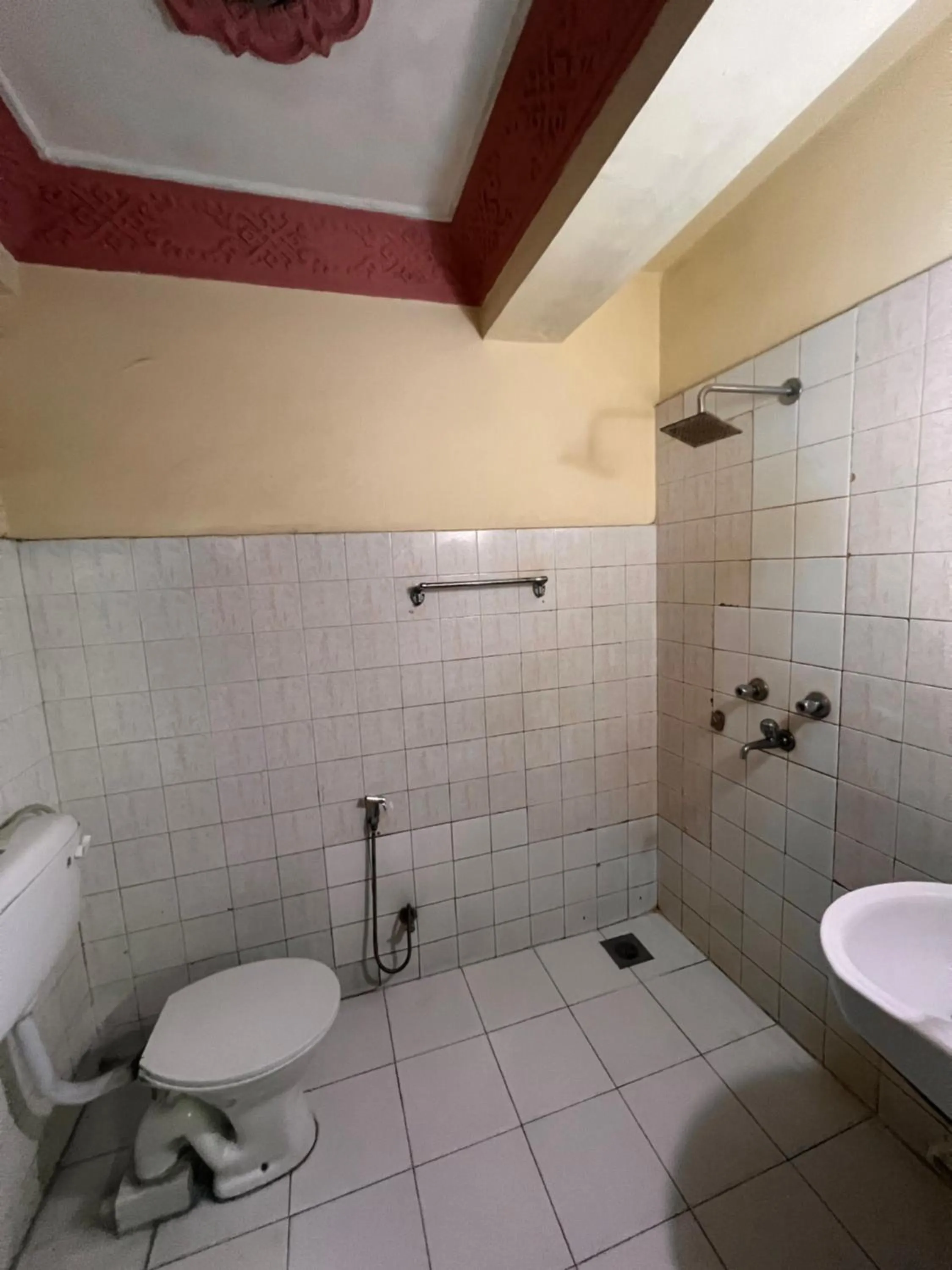 Shower in Trekkers Home