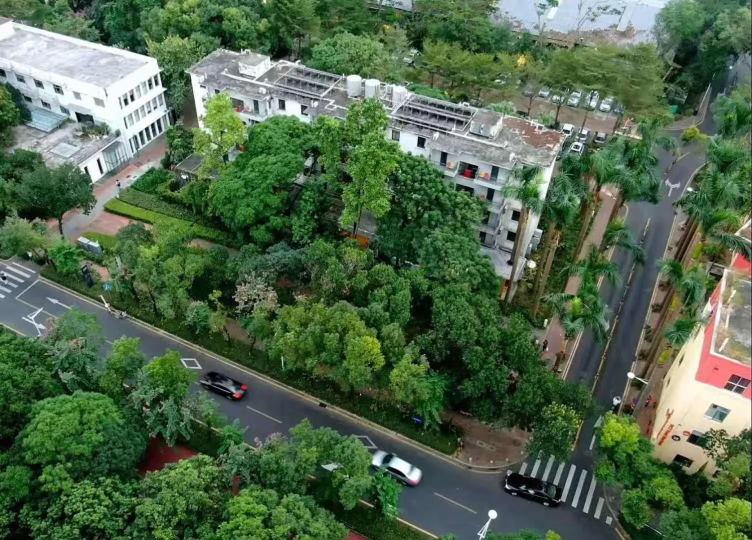 Bird's eye view in Shenzhen Loft Youth Hostel