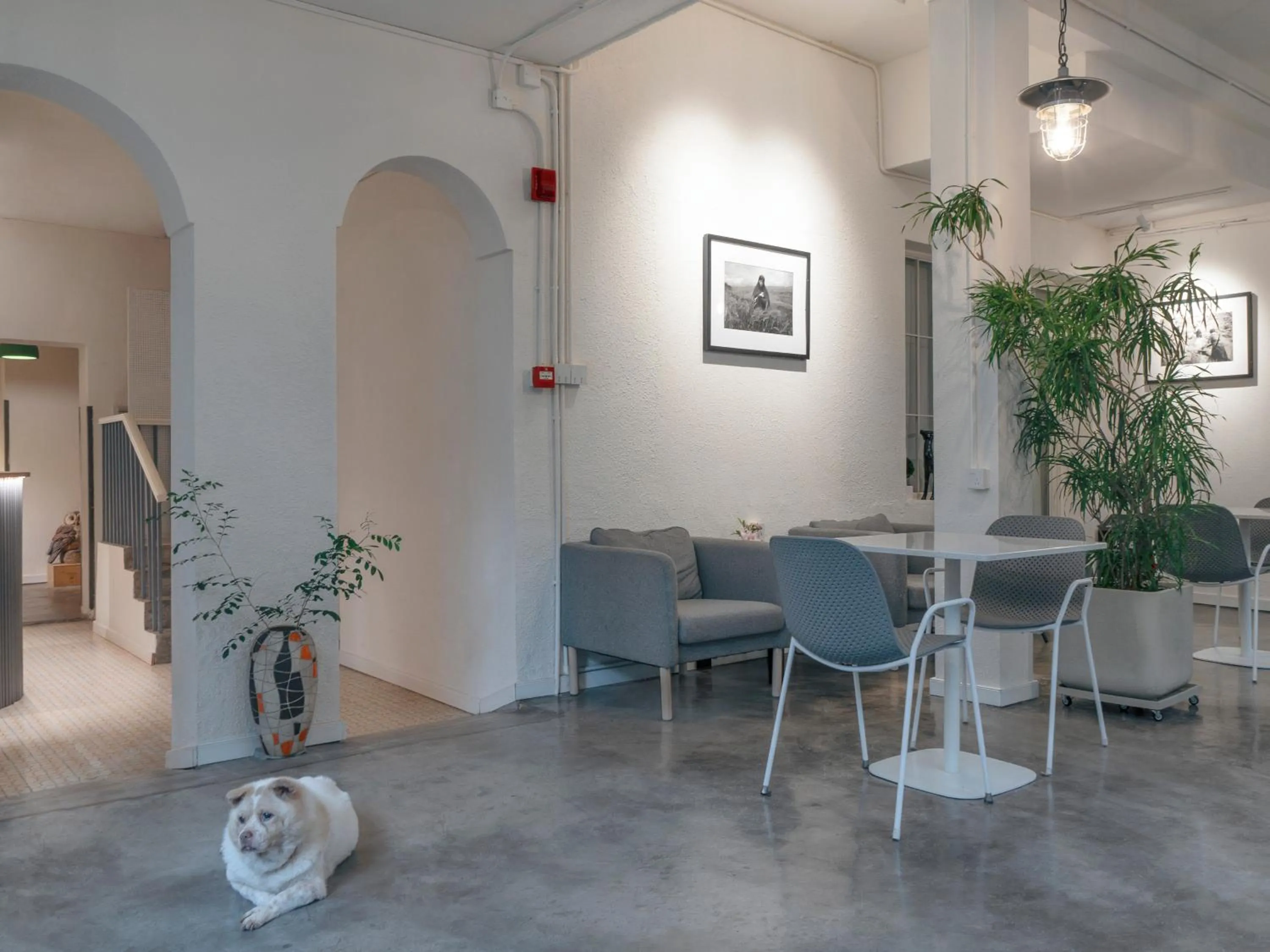 Shenzhen Loft Youth Hostel