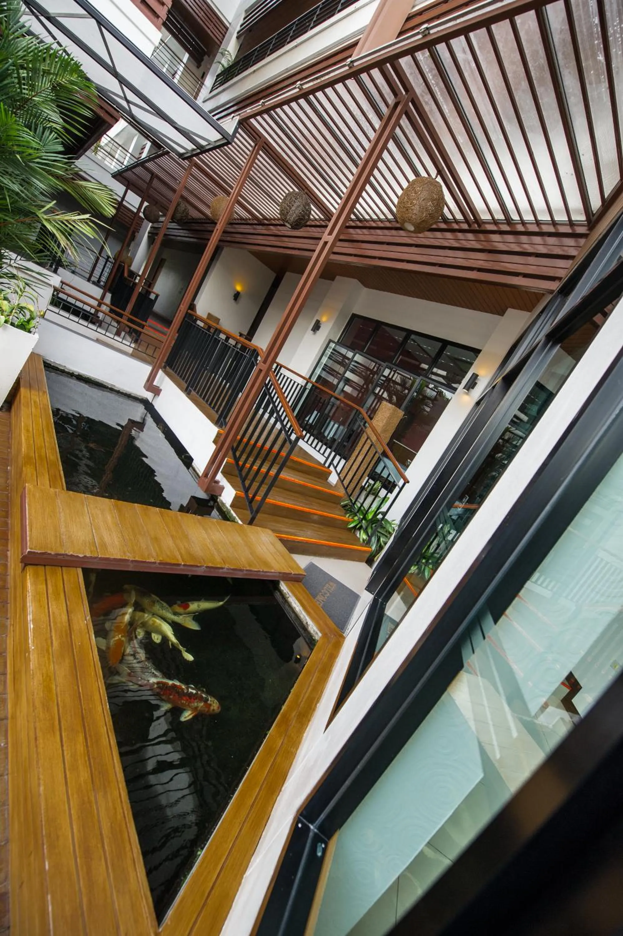 Pets in Mamaison Hotel