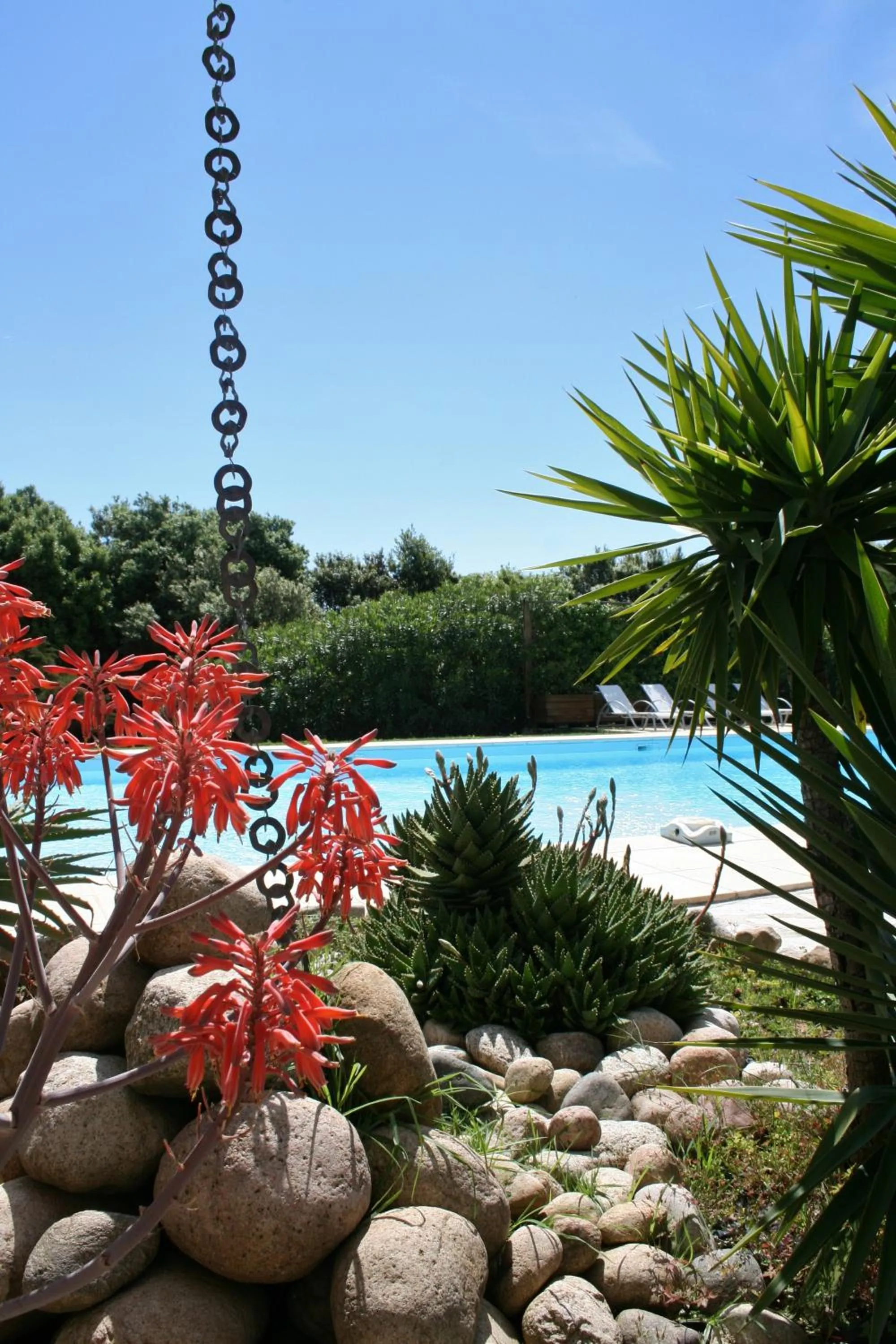 Spring in Poisson Rouge