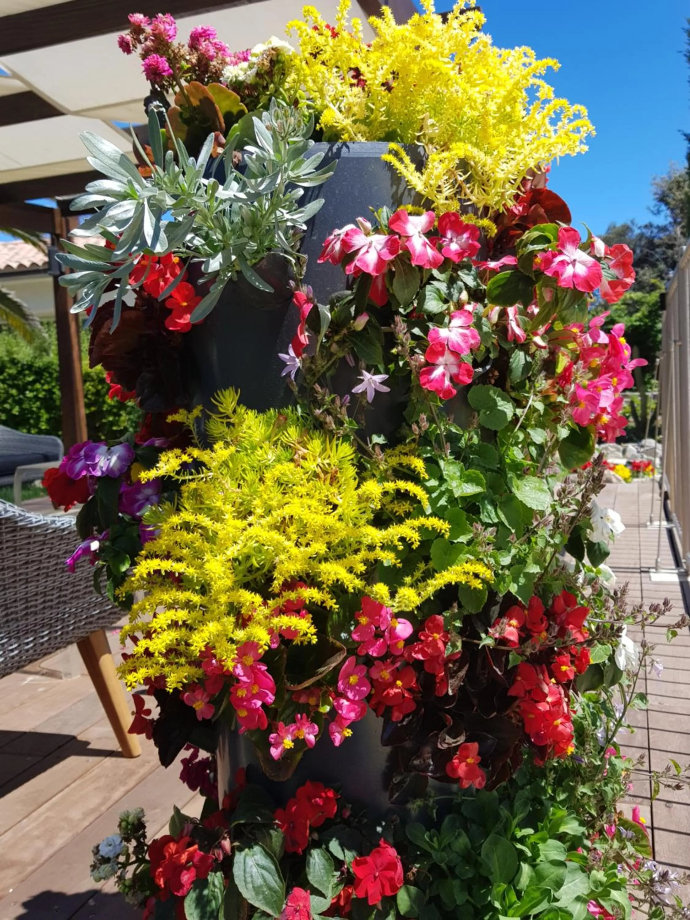 Spring in Poisson Rouge