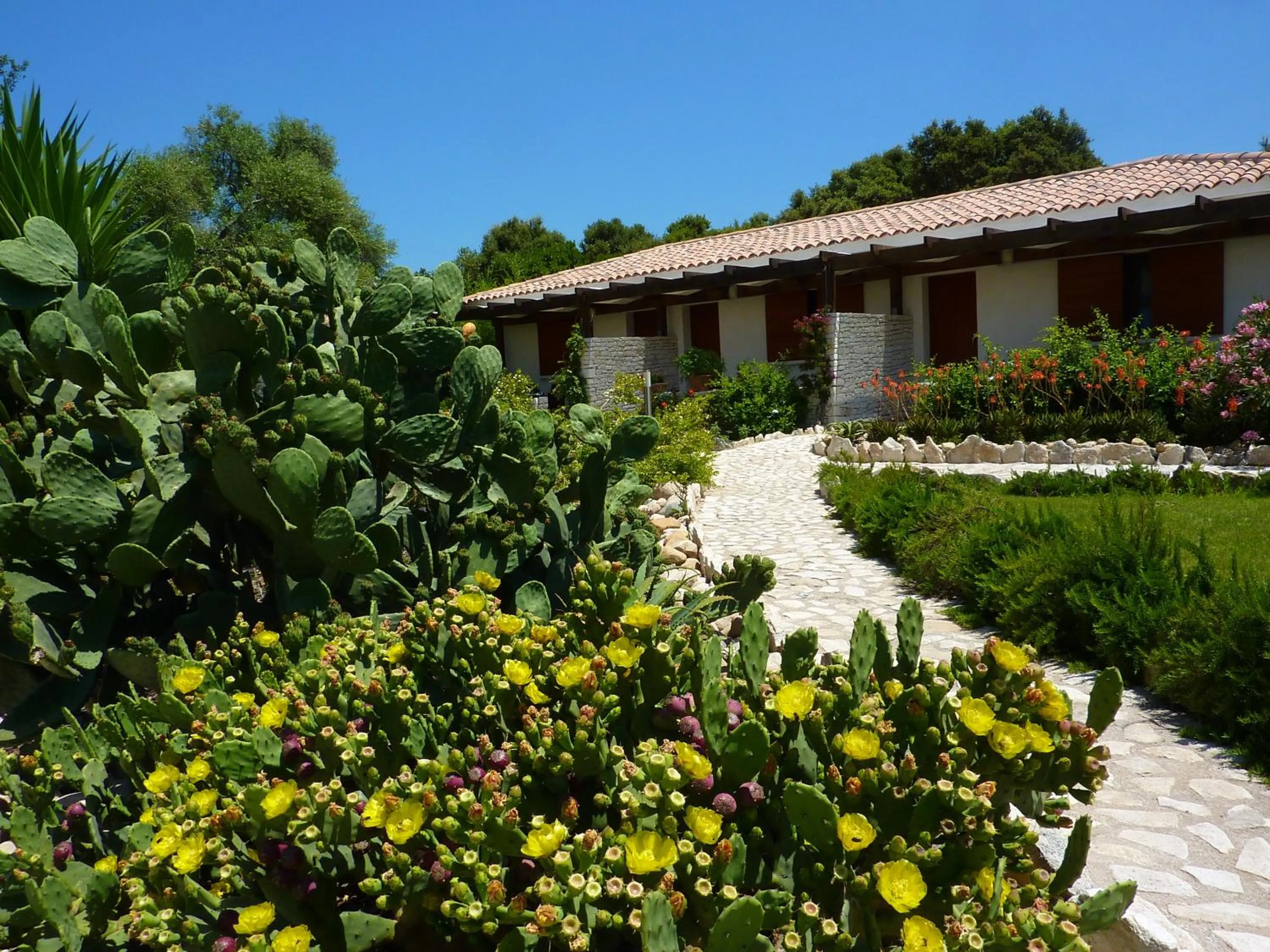 Property building in Poisson Rouge