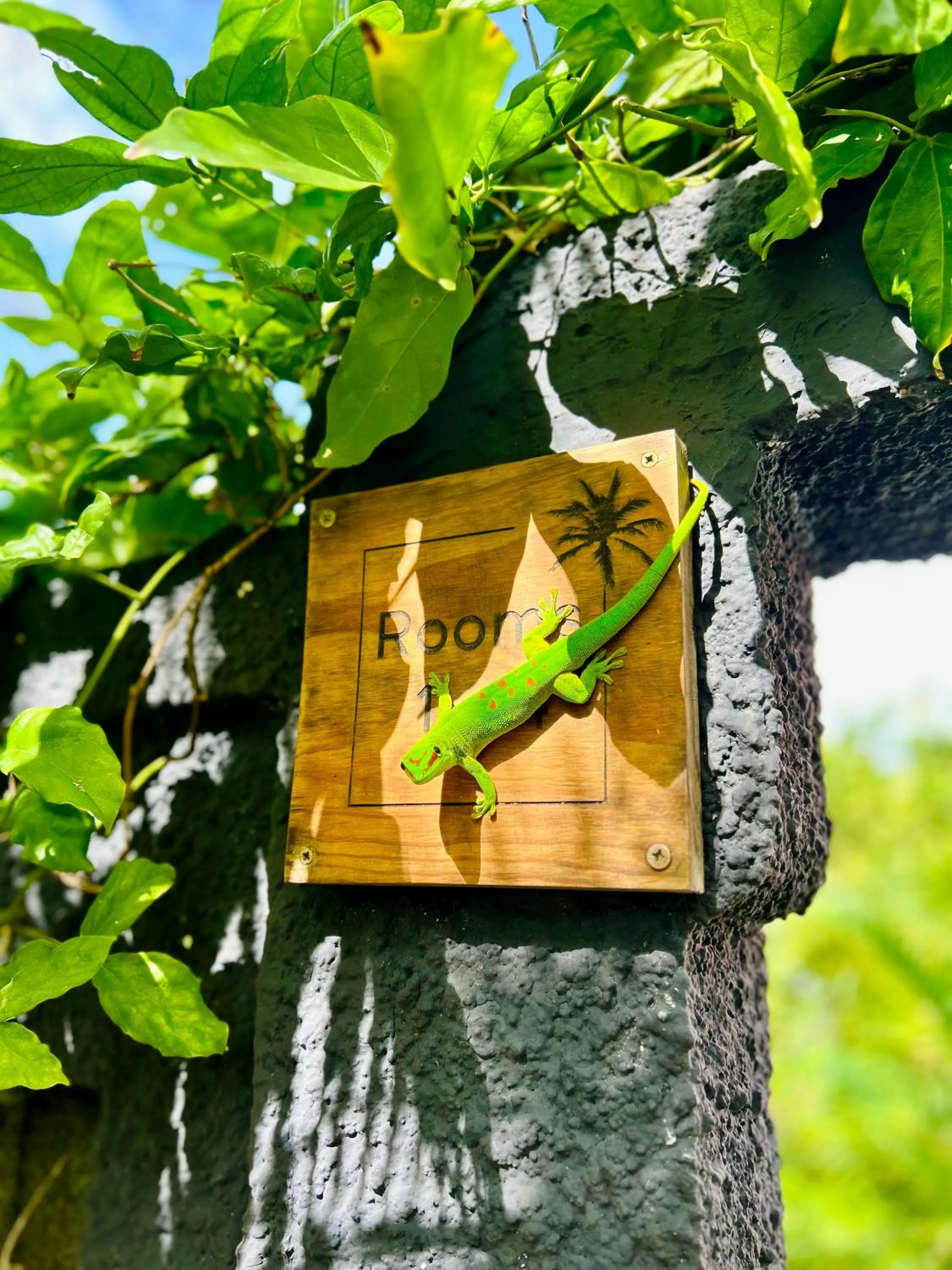 Garden in The Good Life - Eco Lodges & Serenity Boutique Hotel - Adults Only