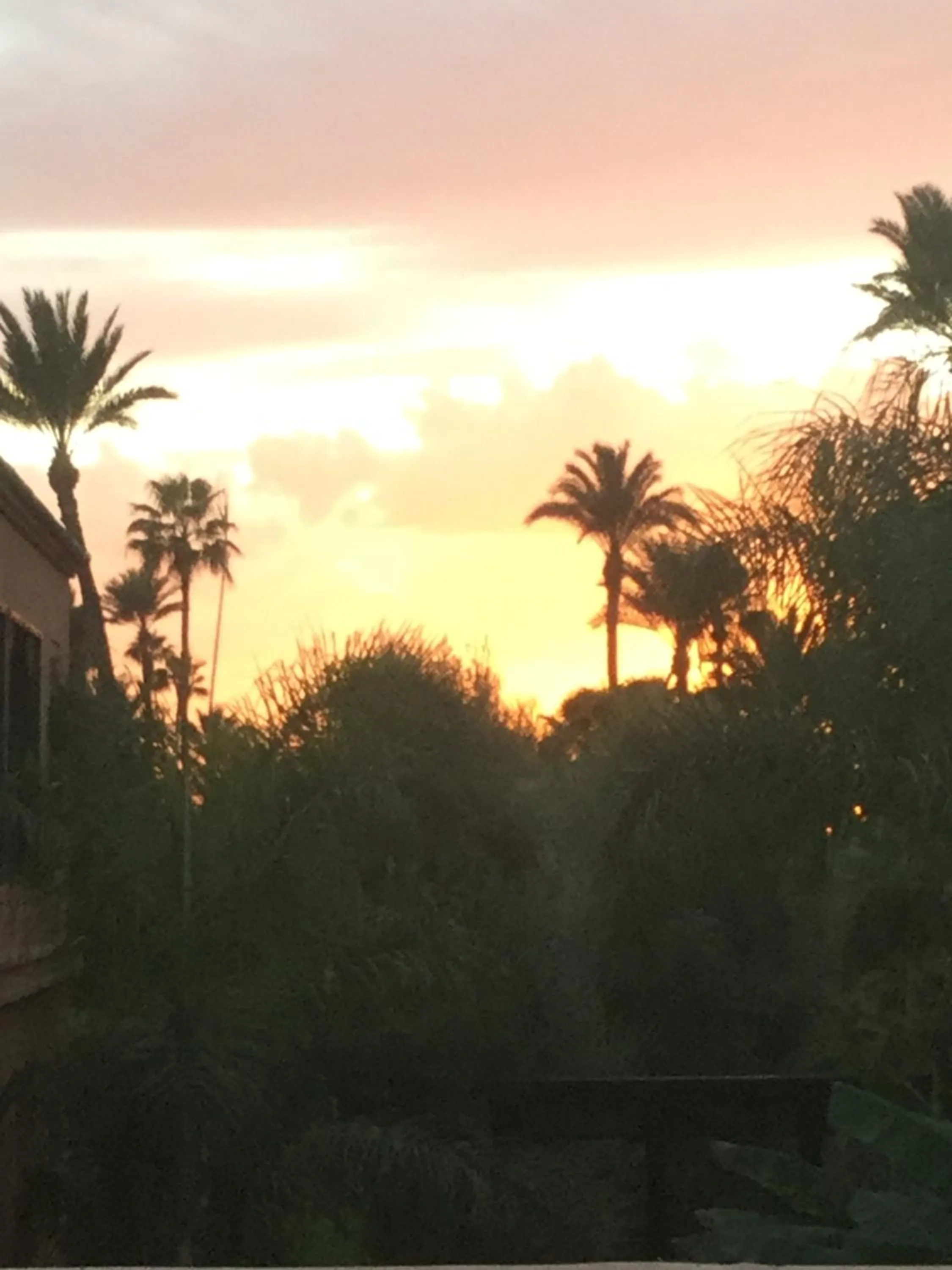 View (from property/room) in riad anrich