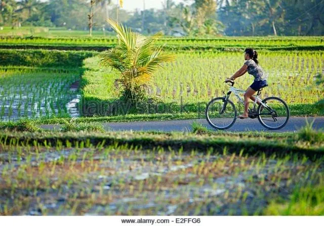Cycling in Villa Mandala