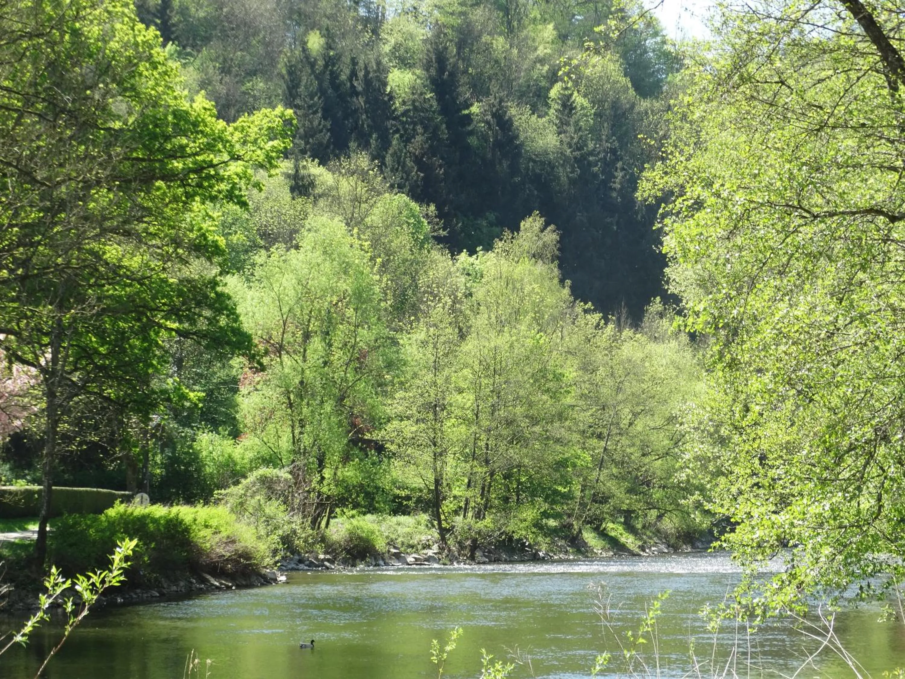 Natural landscape in L'ancienne Boulangerie